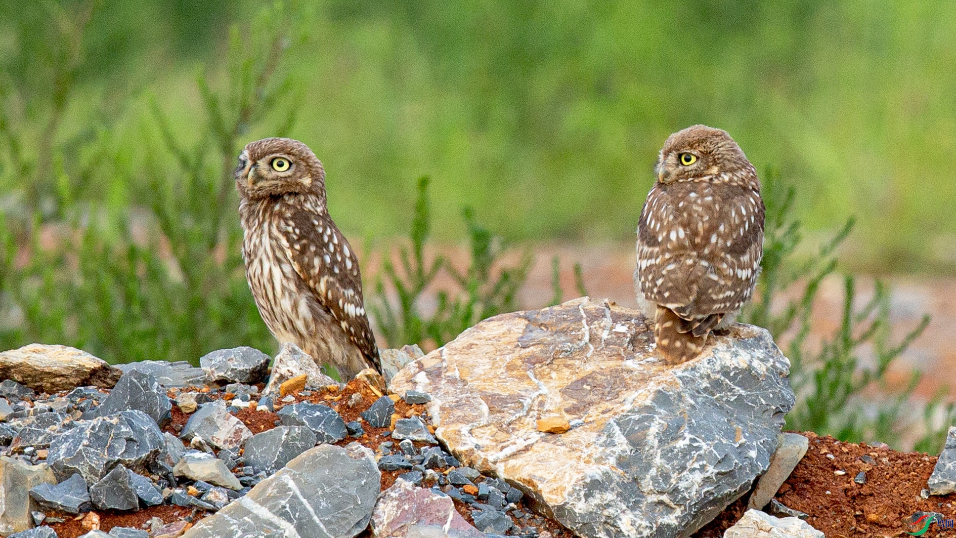 _MG_0632 ����.jpg