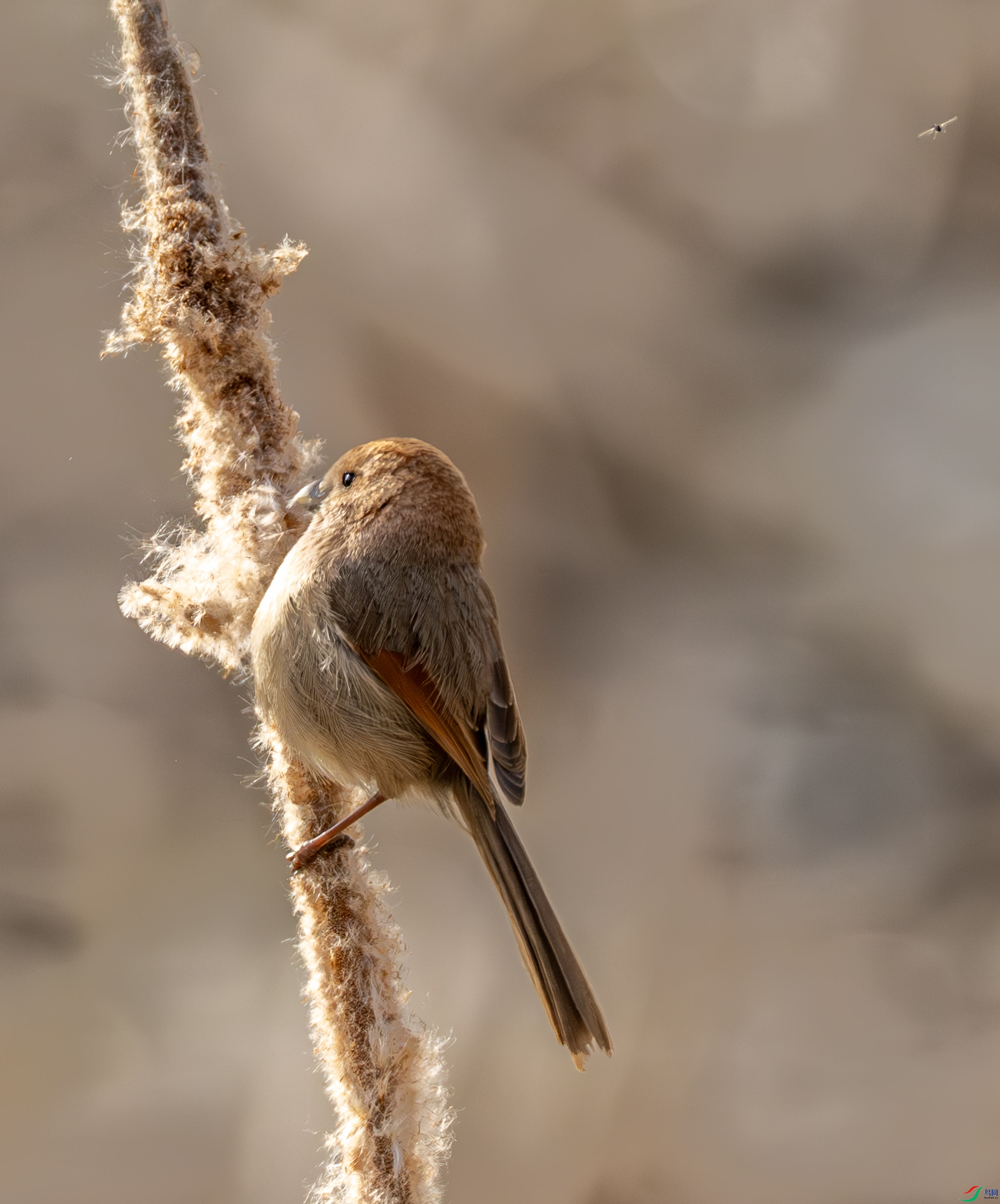 ��ͷѻȸ-01 (5 - 16).jpg