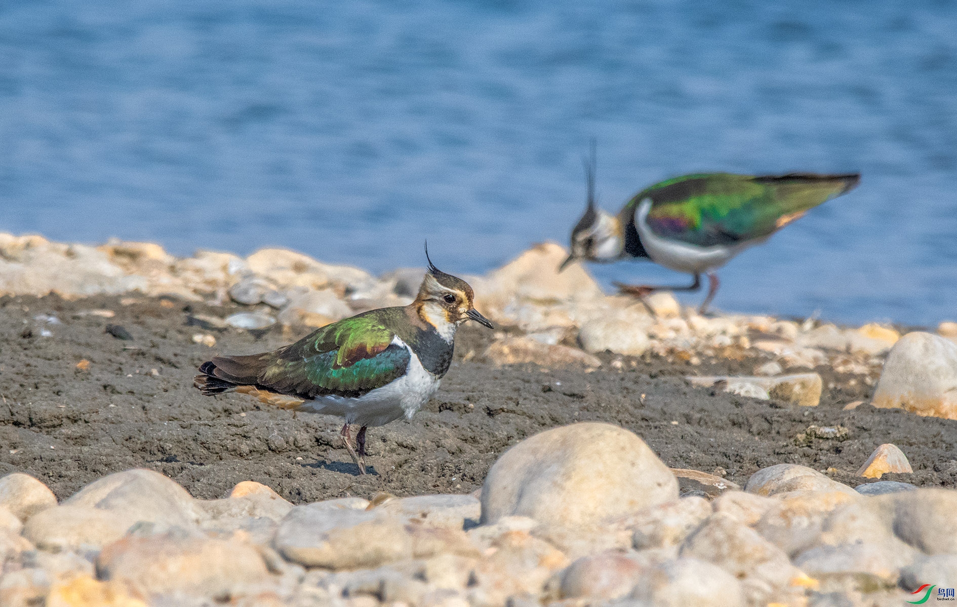 DSC_9081_��ͼ�� ����.jpg