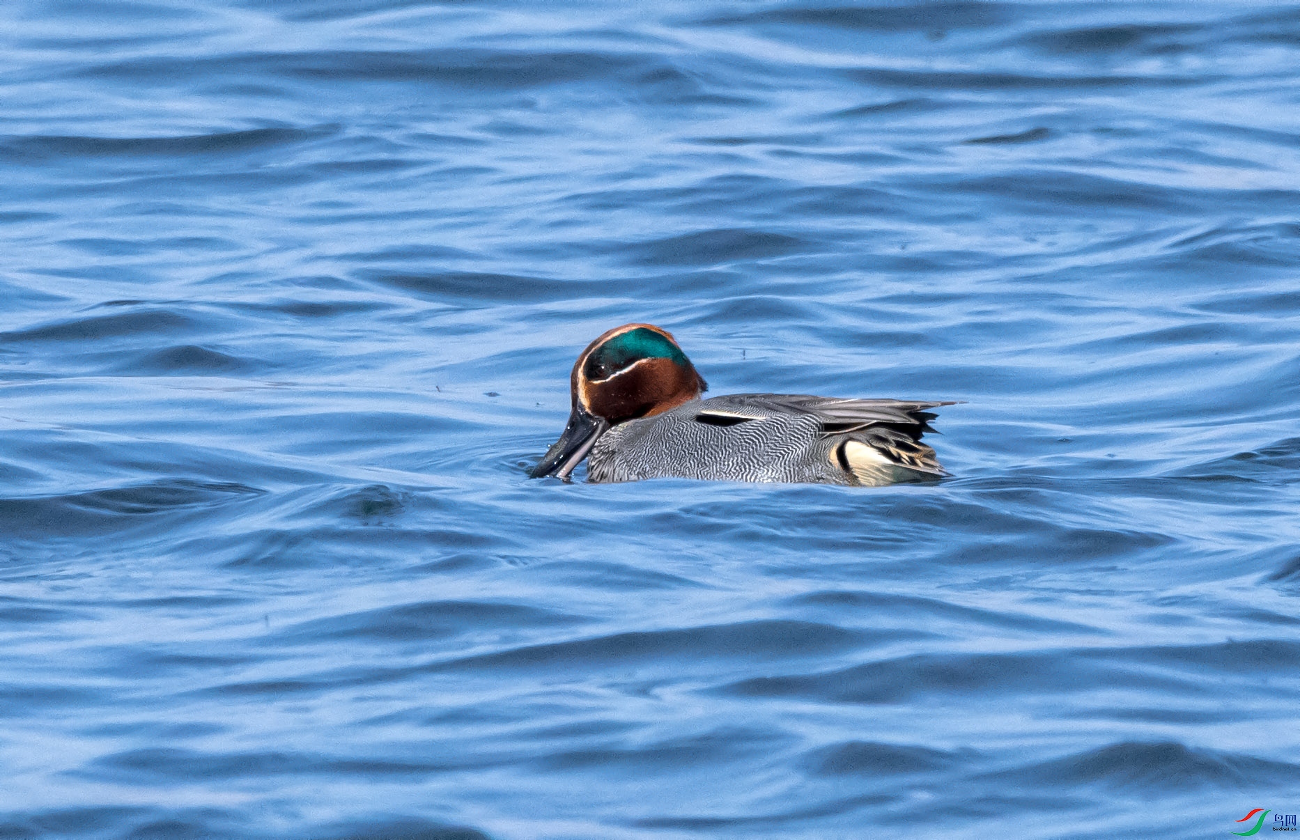 DSC_2737_��ͼ�� ����.jpg