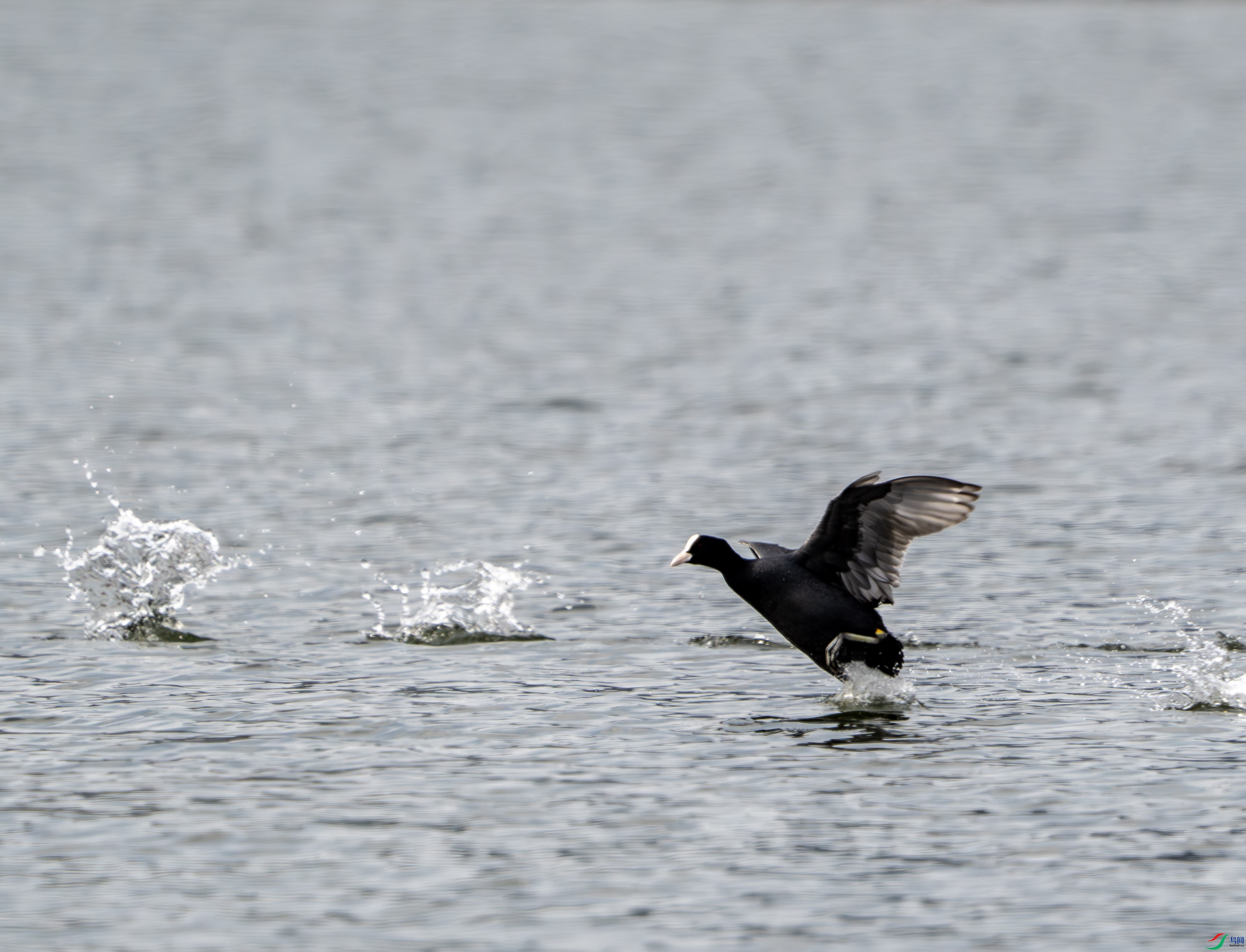 �׹Ƕ�-1-3 (7).jpg