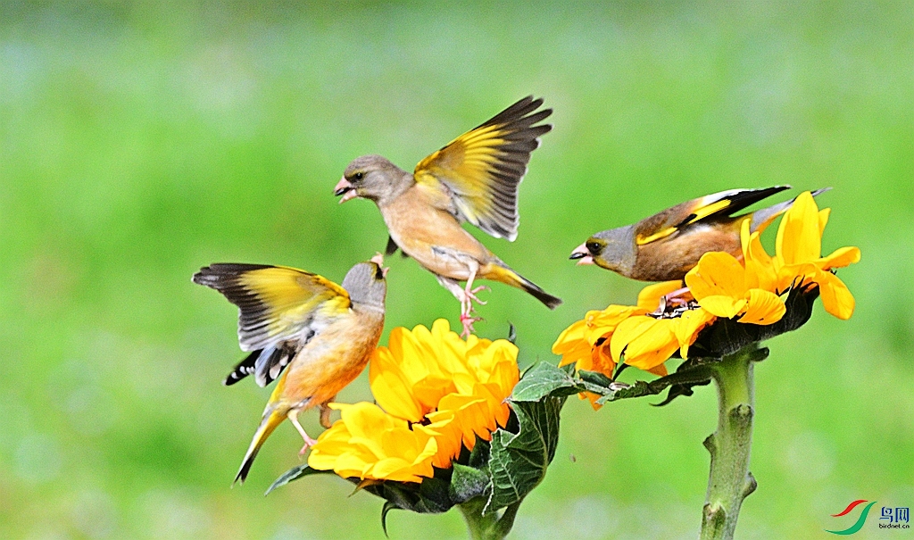 DSC_9361.JPG