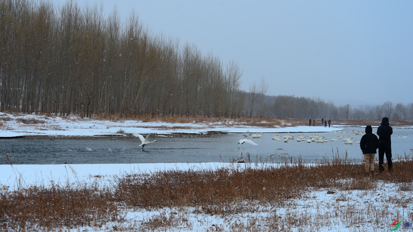 DSC_1054.JPG
