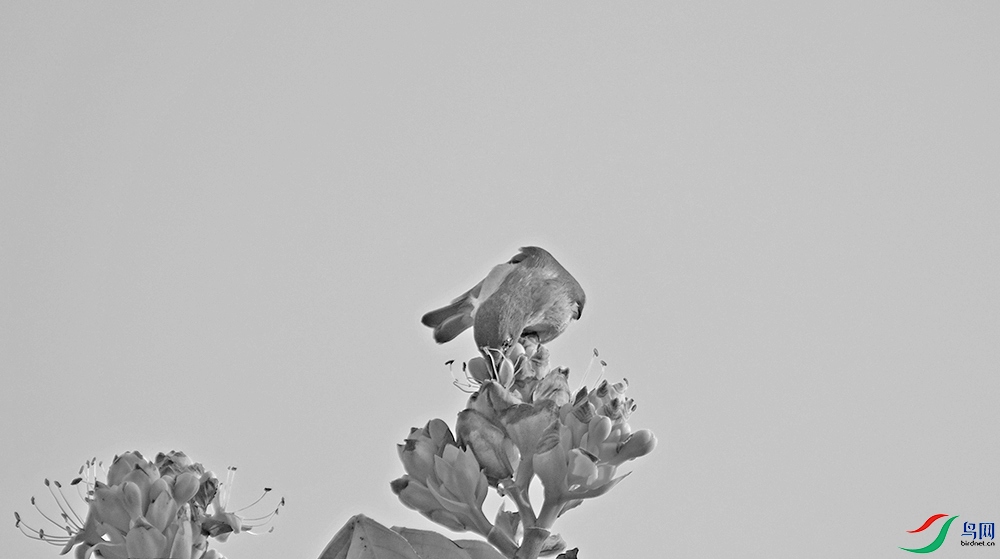 DSCF1893.1.jpg