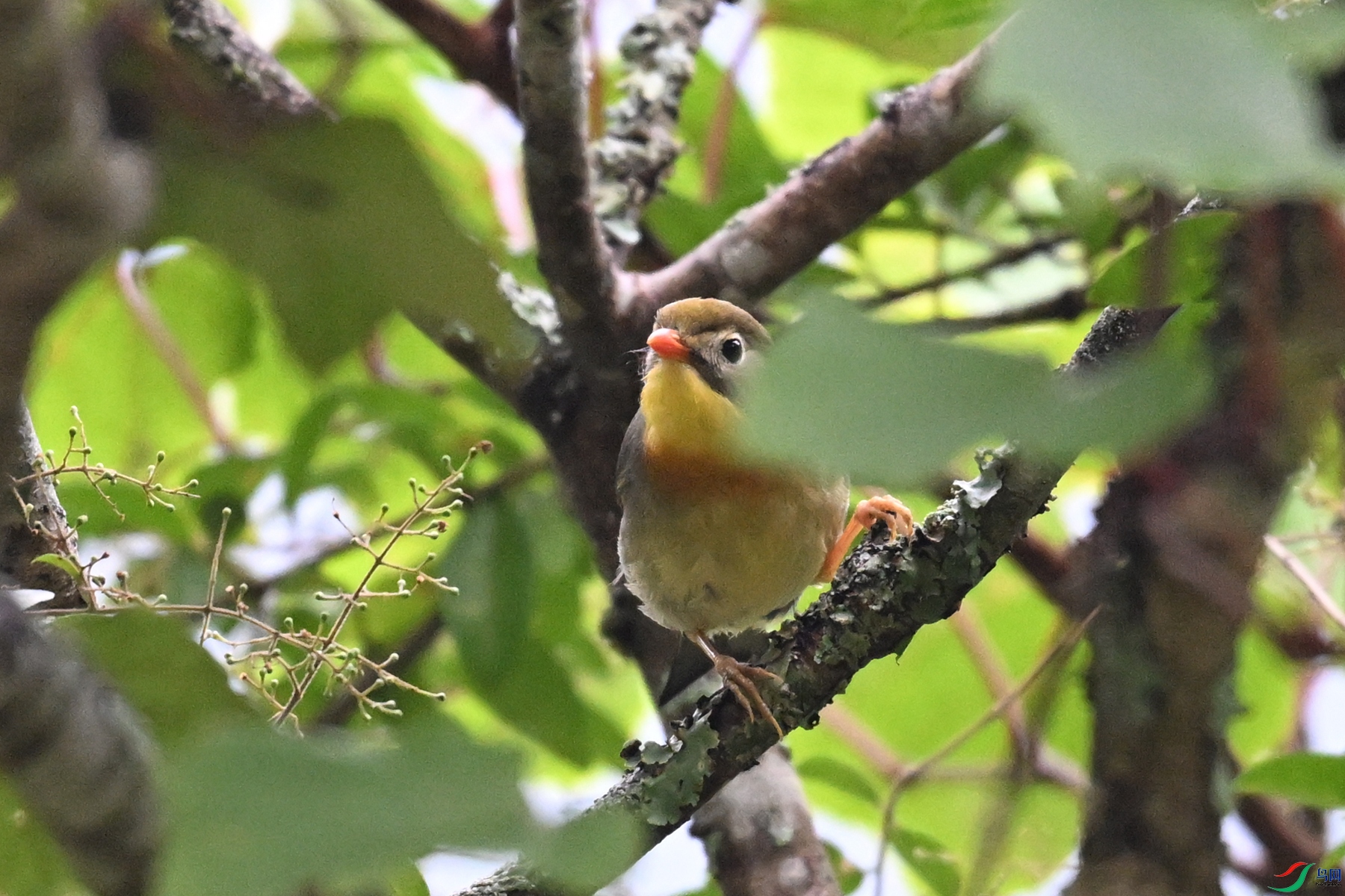 DSC_2767.JPG