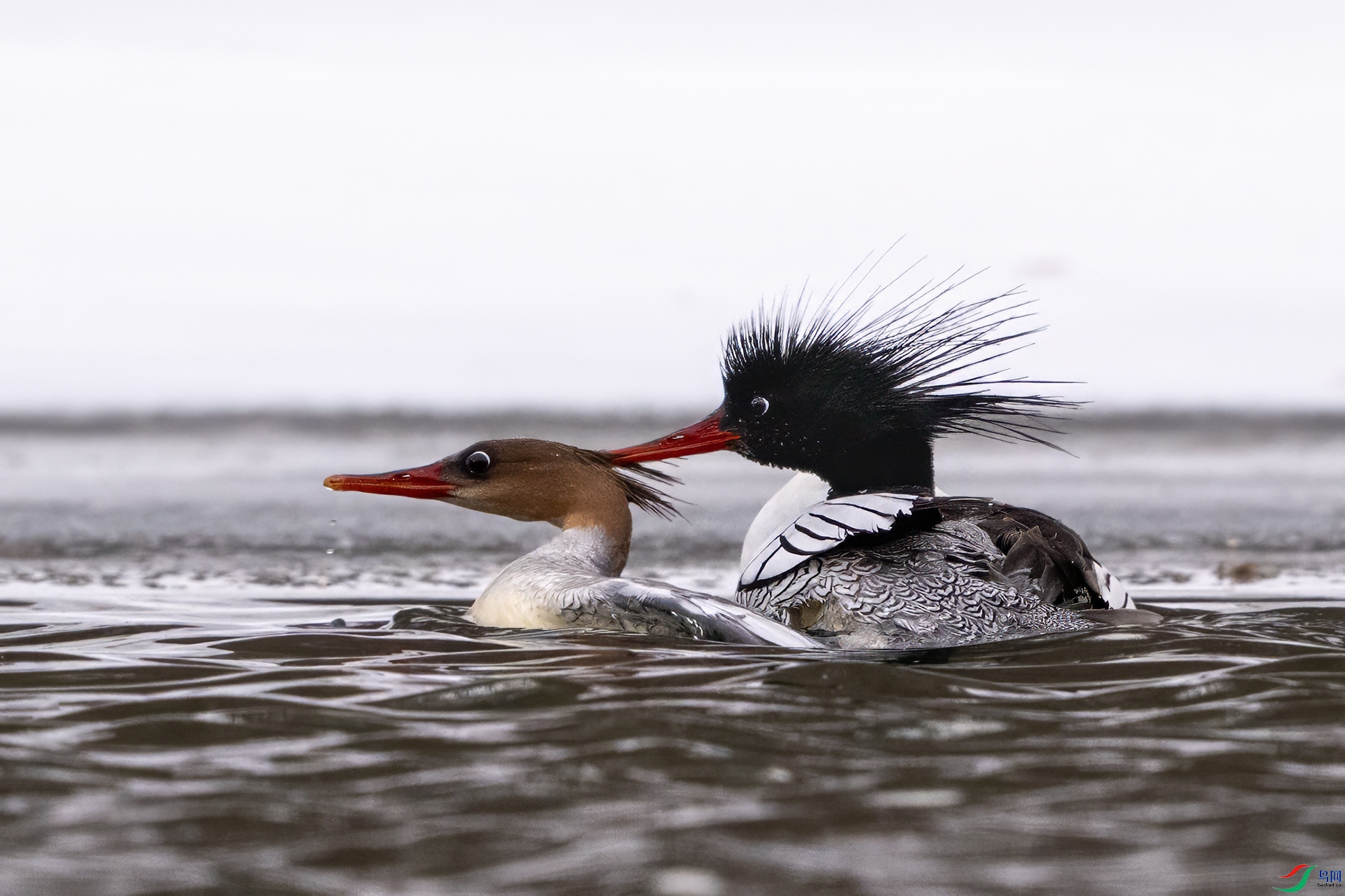 _DSC8283 ���� 1920.jpg