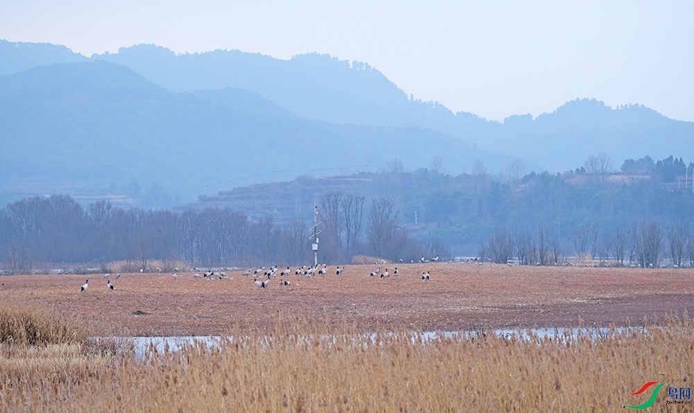 DSCF0736.1.jpg