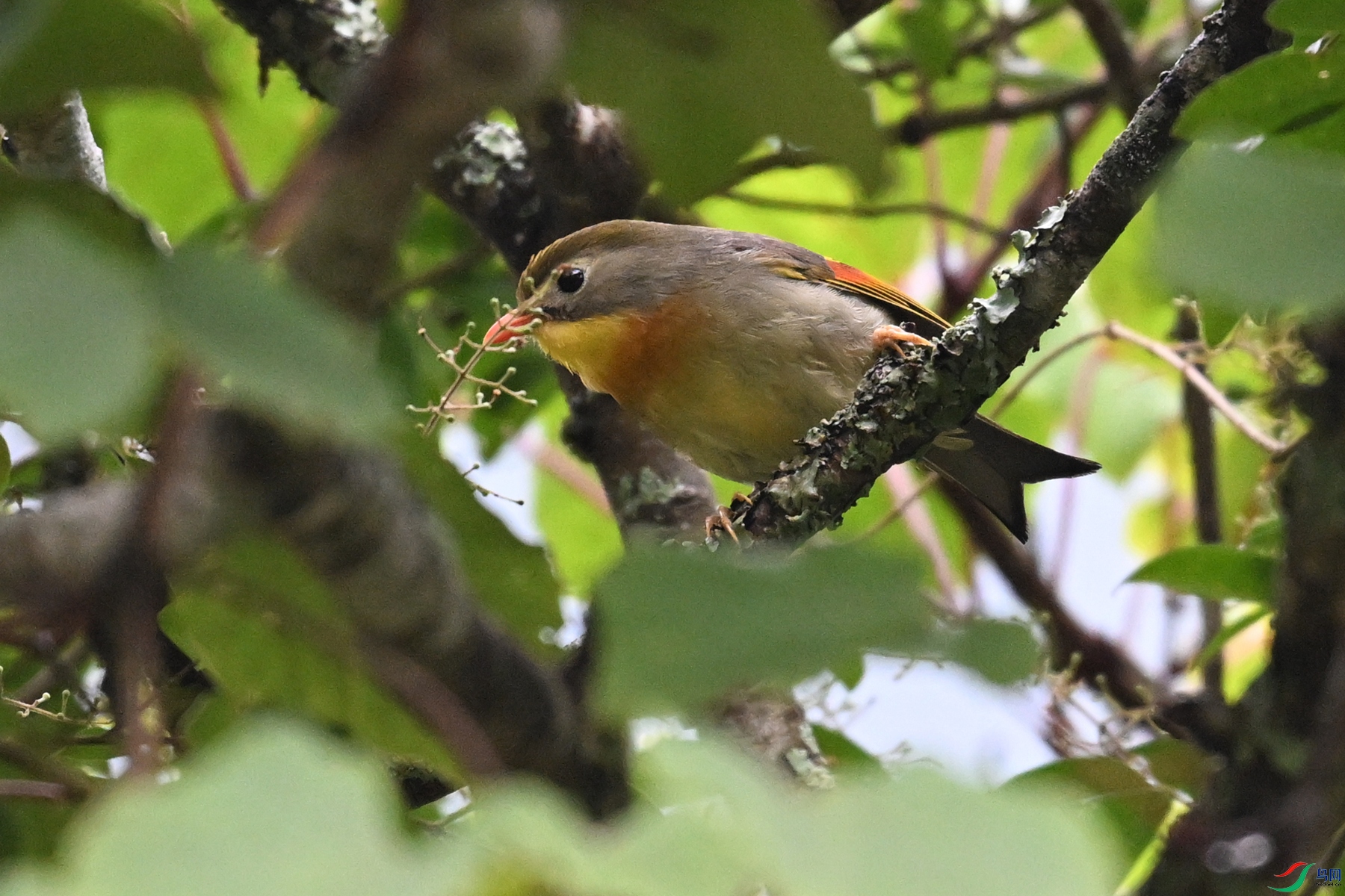 DSC_2772.JPG
