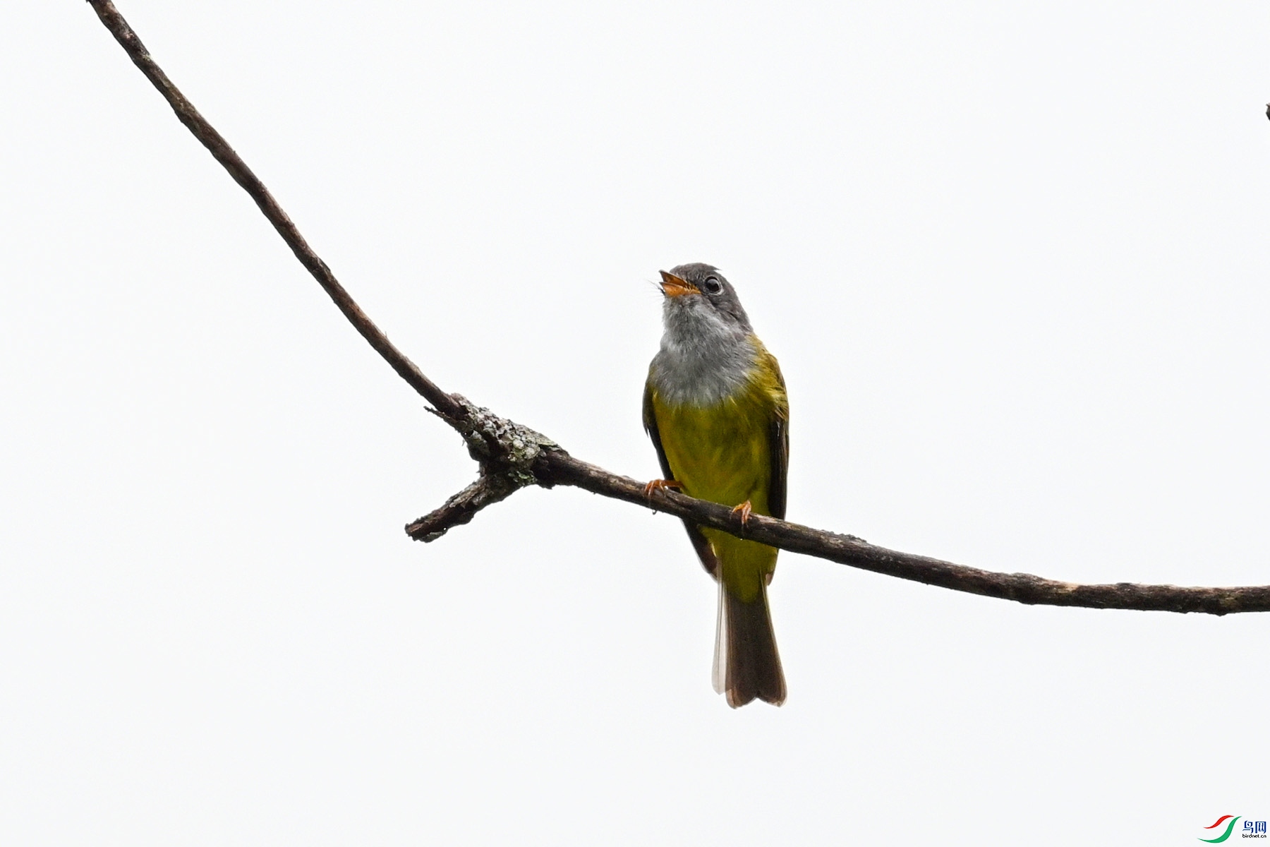 DSC_2732.JPG