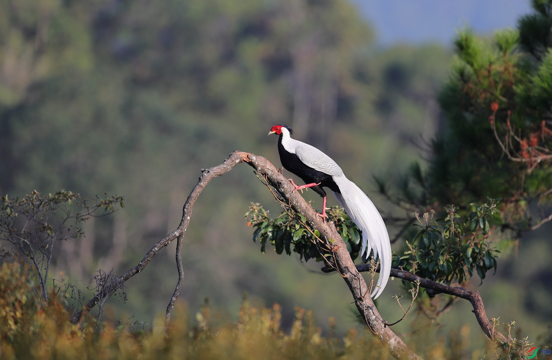 AC1I0094 - ����.JPG