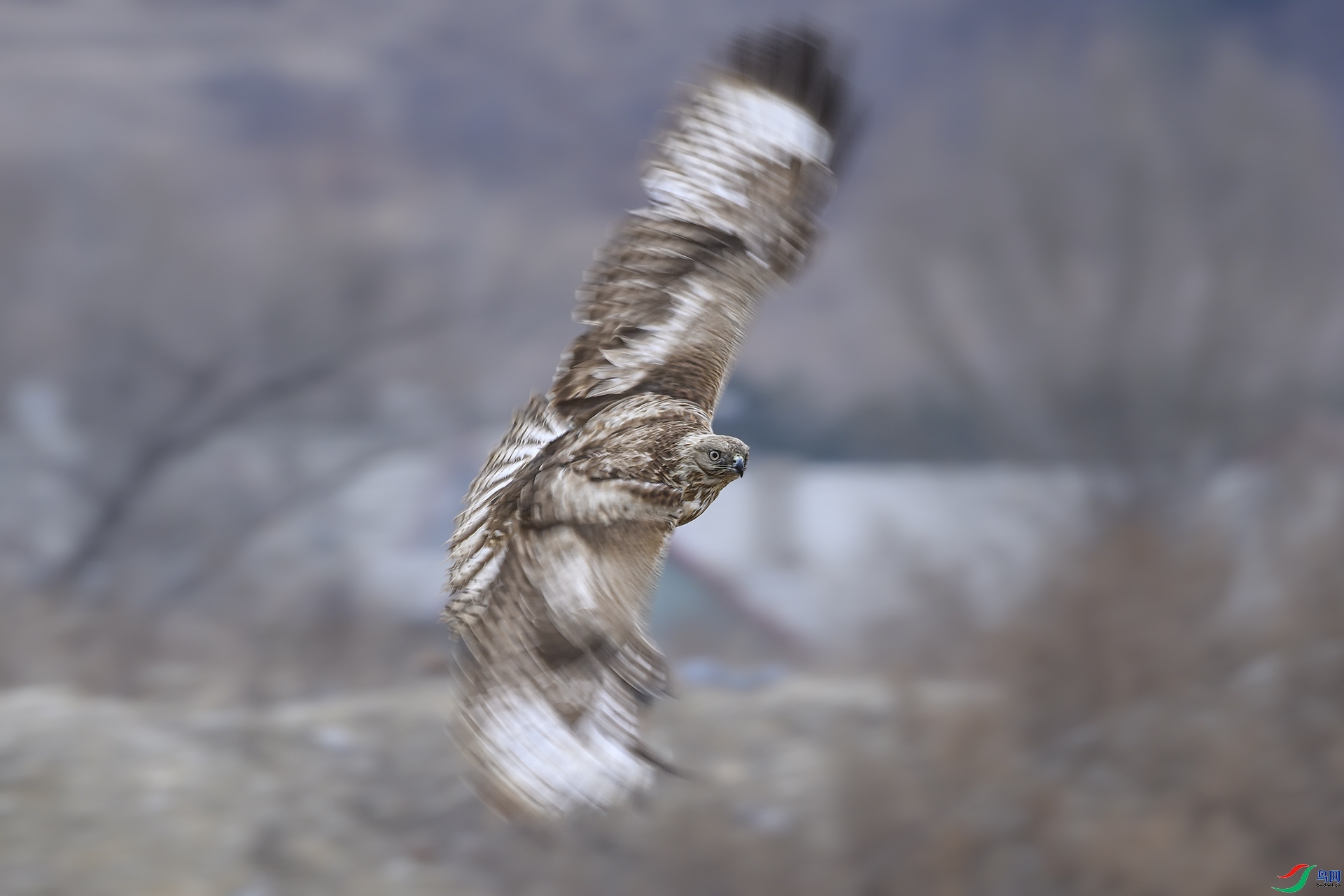 3.11��������ʦ��Ʒ   �������չ�