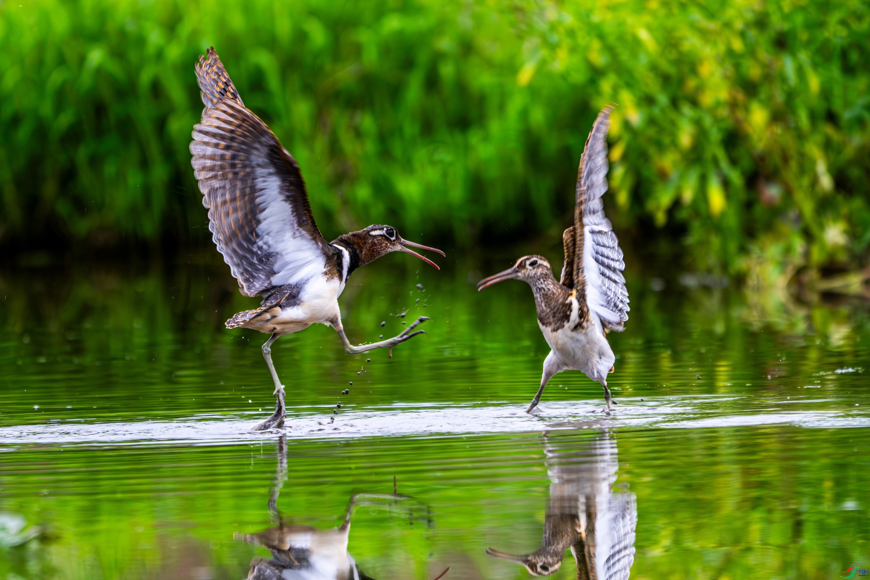 3.14���ܼδ���ʦ��Ʒ   �� ��ף���ٻ���Ӱʦ������  .jpg