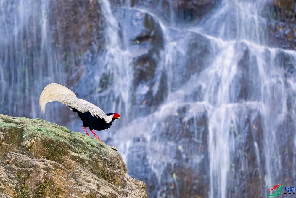 3.14����������ʦ��Ʒ  ������Ӱ ��ף���ٻ��Ա������.jpg