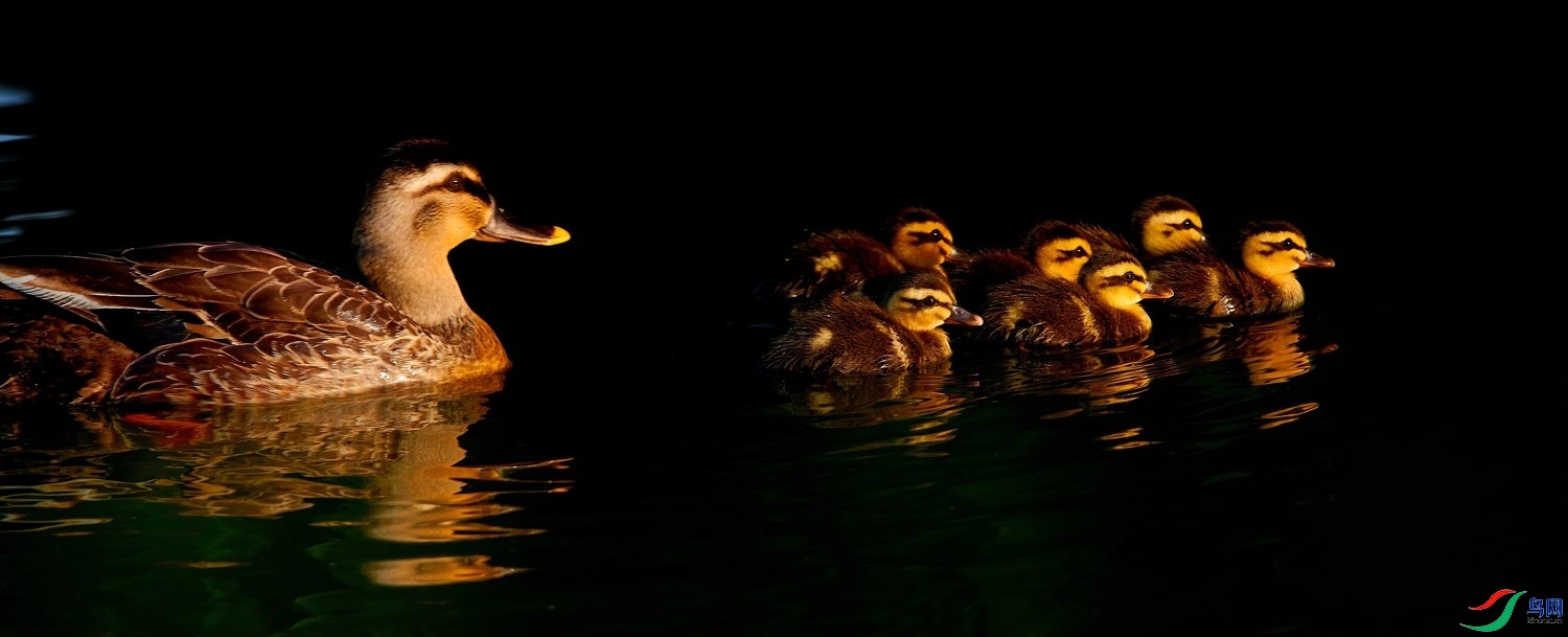 3.14��������ʦ��Ʒ   ҰѼ ��ף���ٻ��Ա������  .jpg