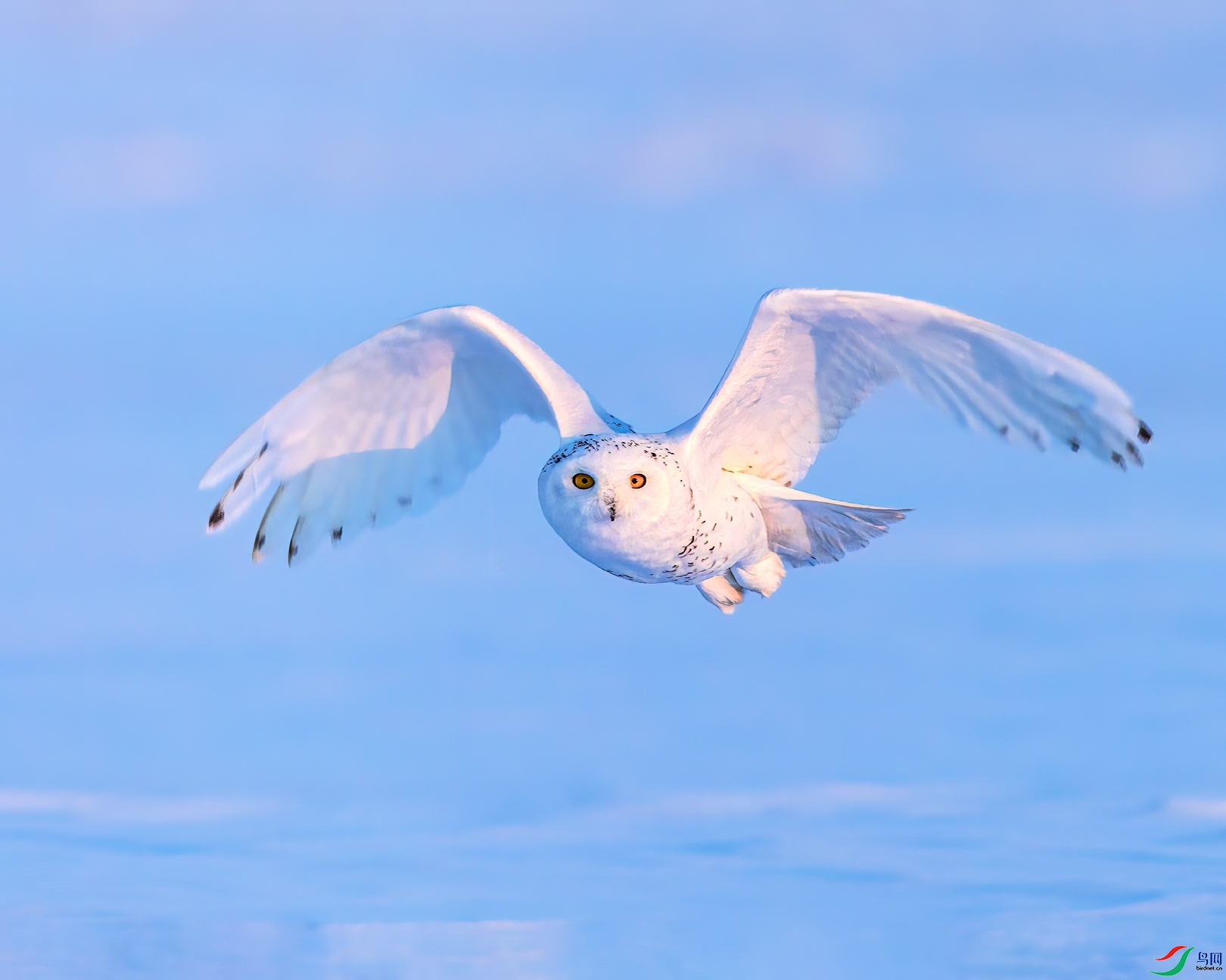 3.15���ר��ʦ��Ʒ  ���Ϳշ��У�ף���ٻ���Ӱʦ������.jpg