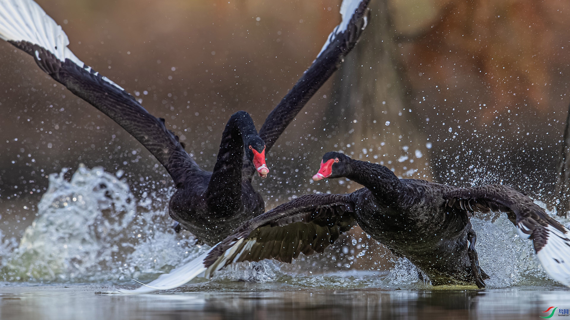 _35I7605 ����.jpg