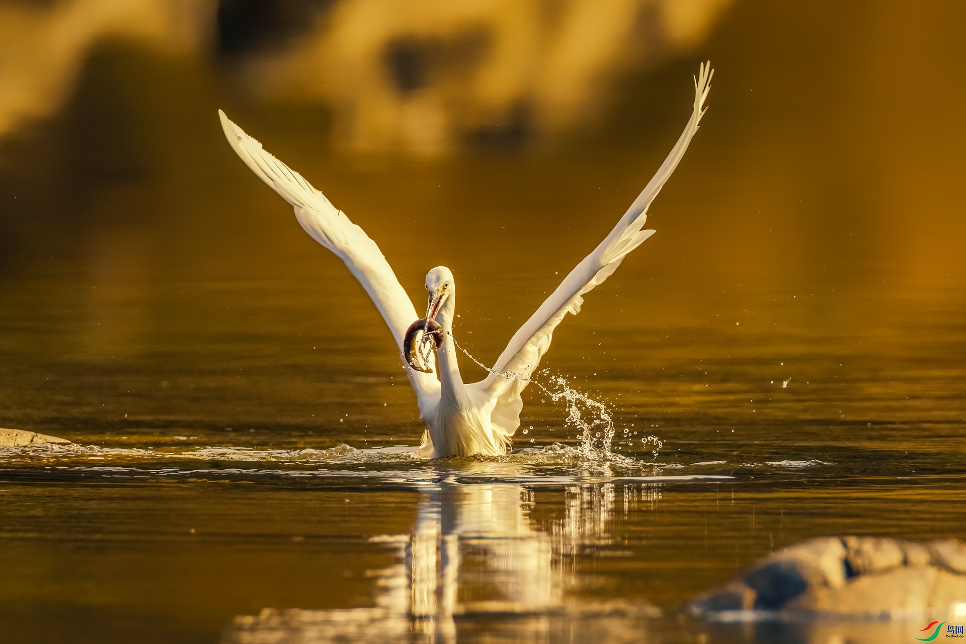 AK8I1177.jpg