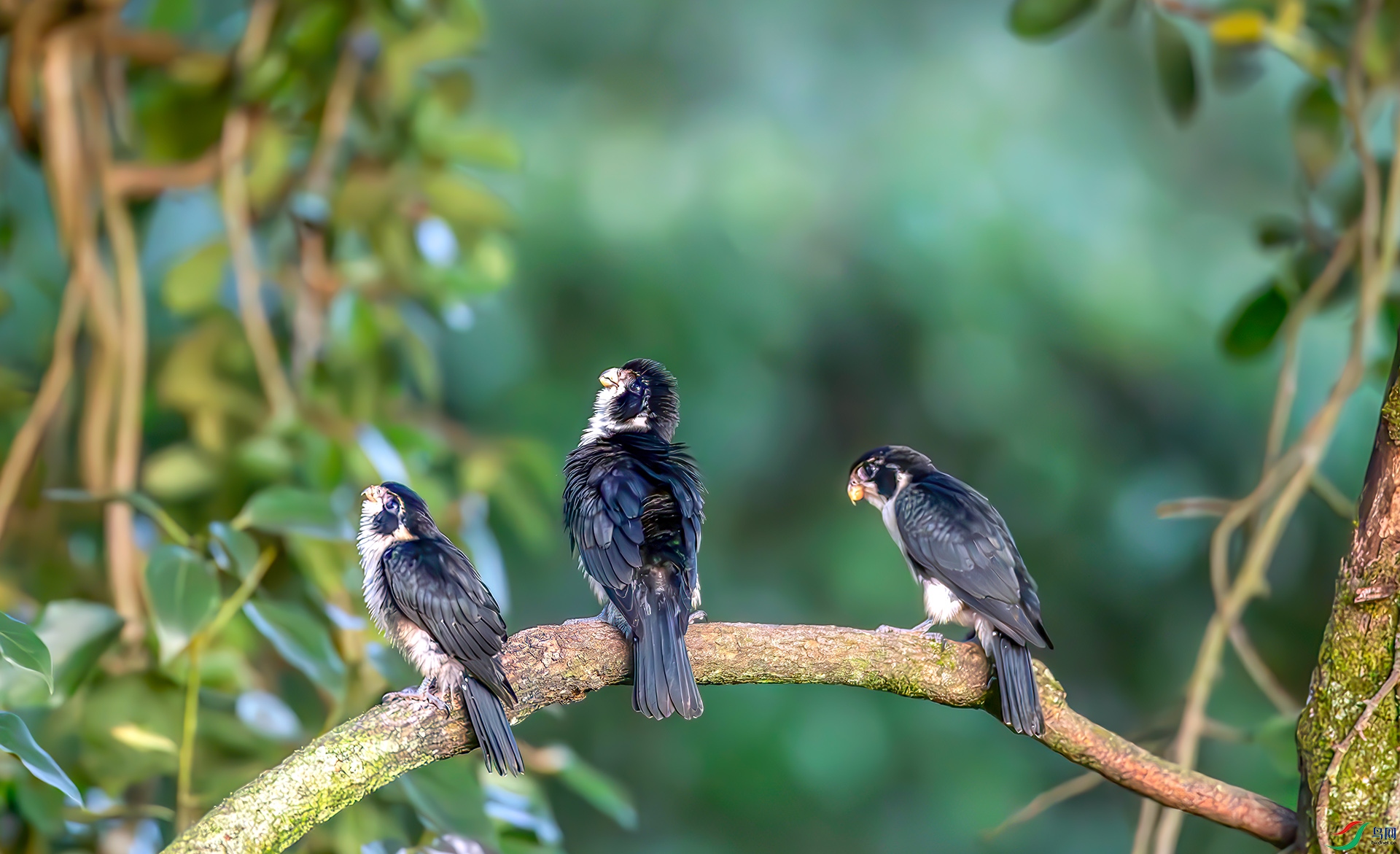 _S7I5937-----33  .jpg