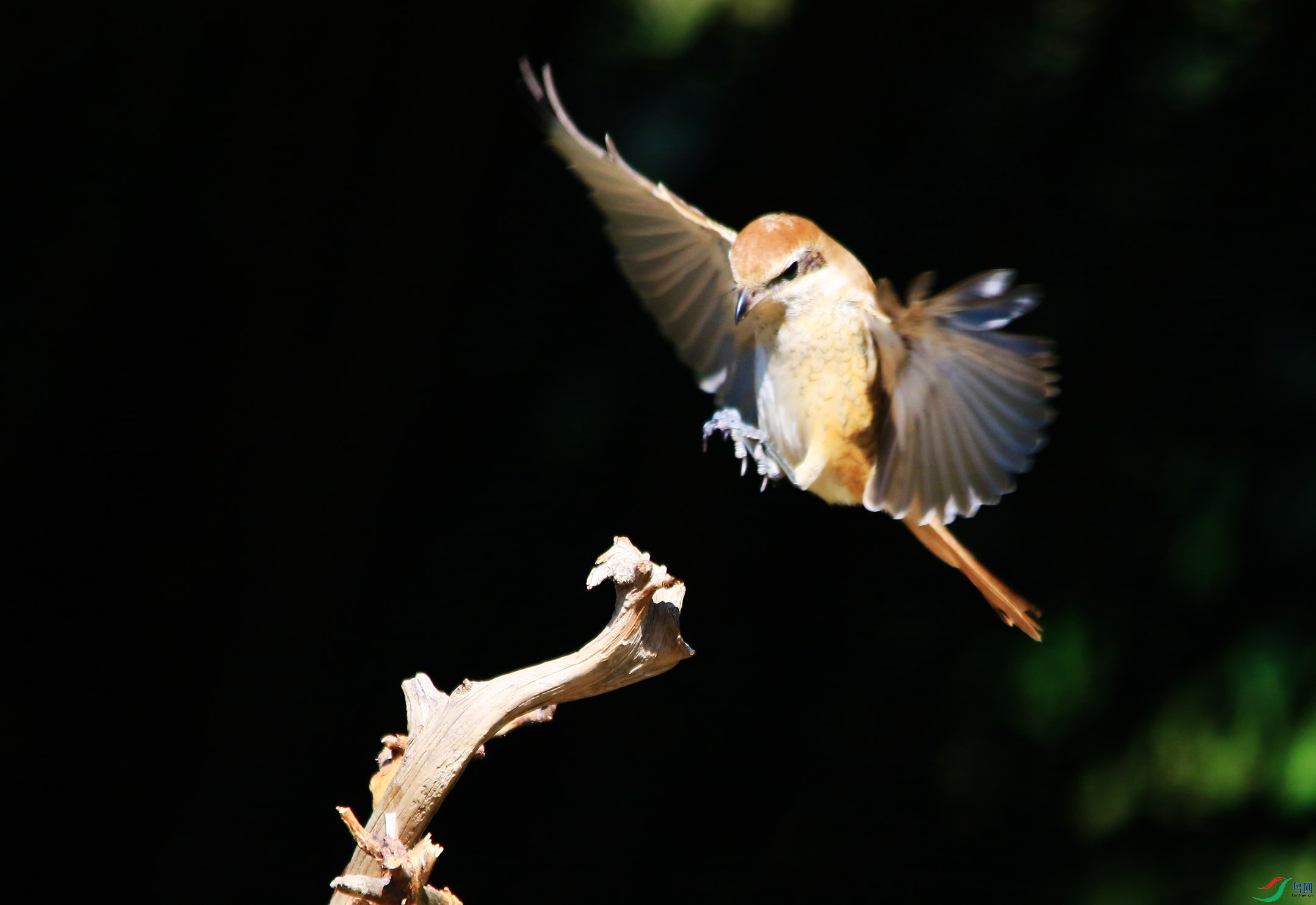 ��β���� (72).JPG