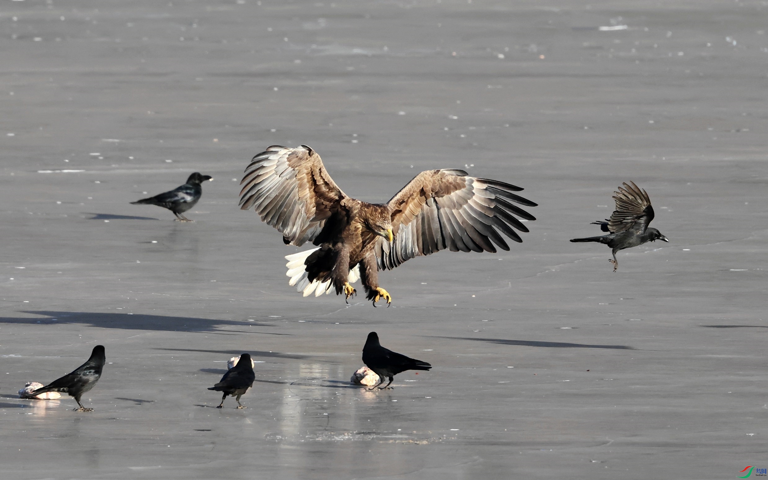 ��β���� (188).JPG