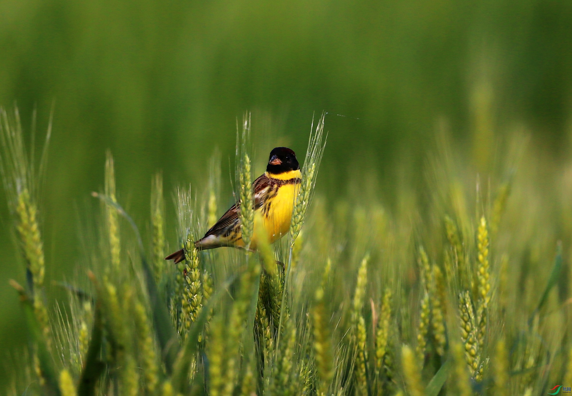 �ƺ��c (3).JPG