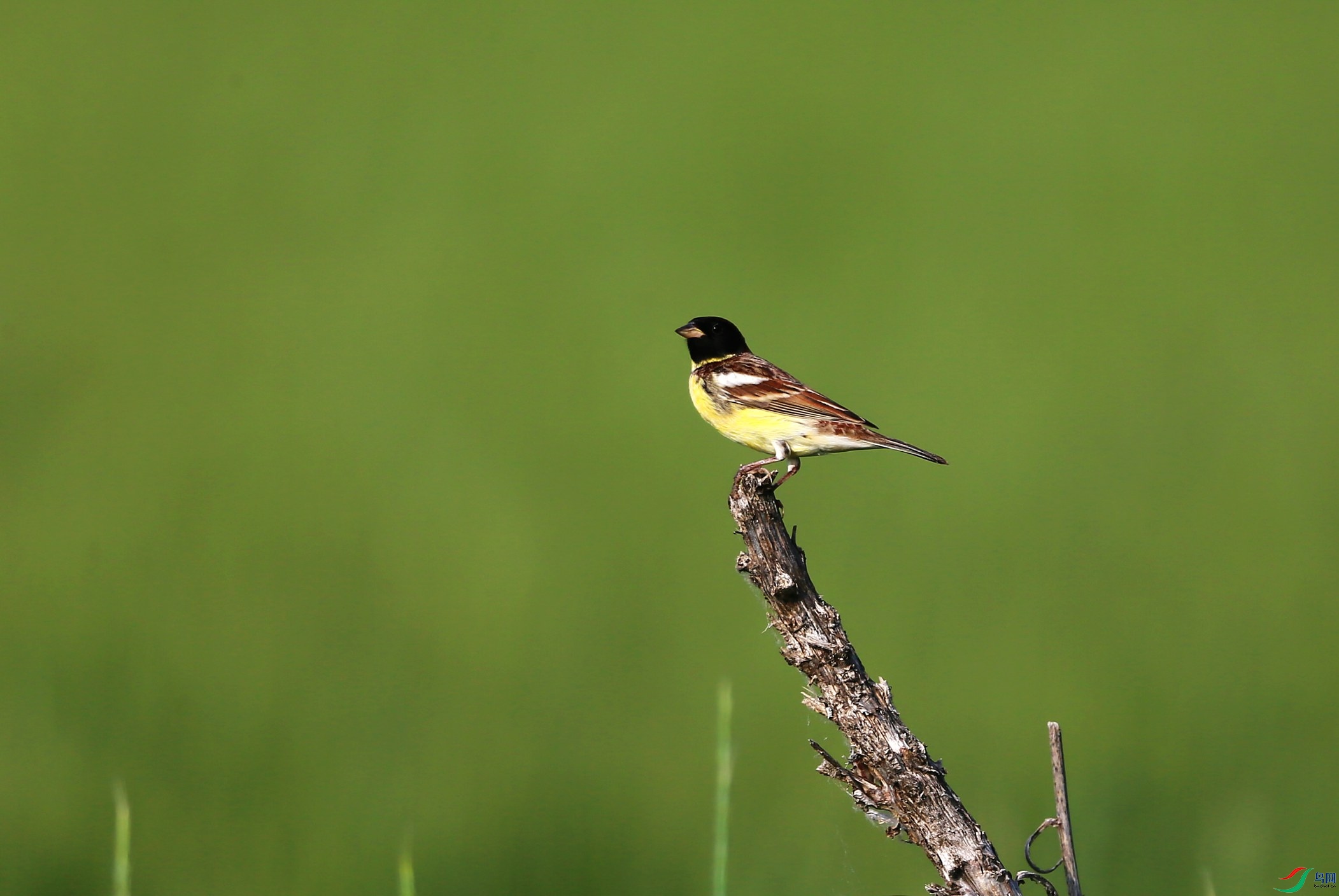 �ƺ��c (27).JPG