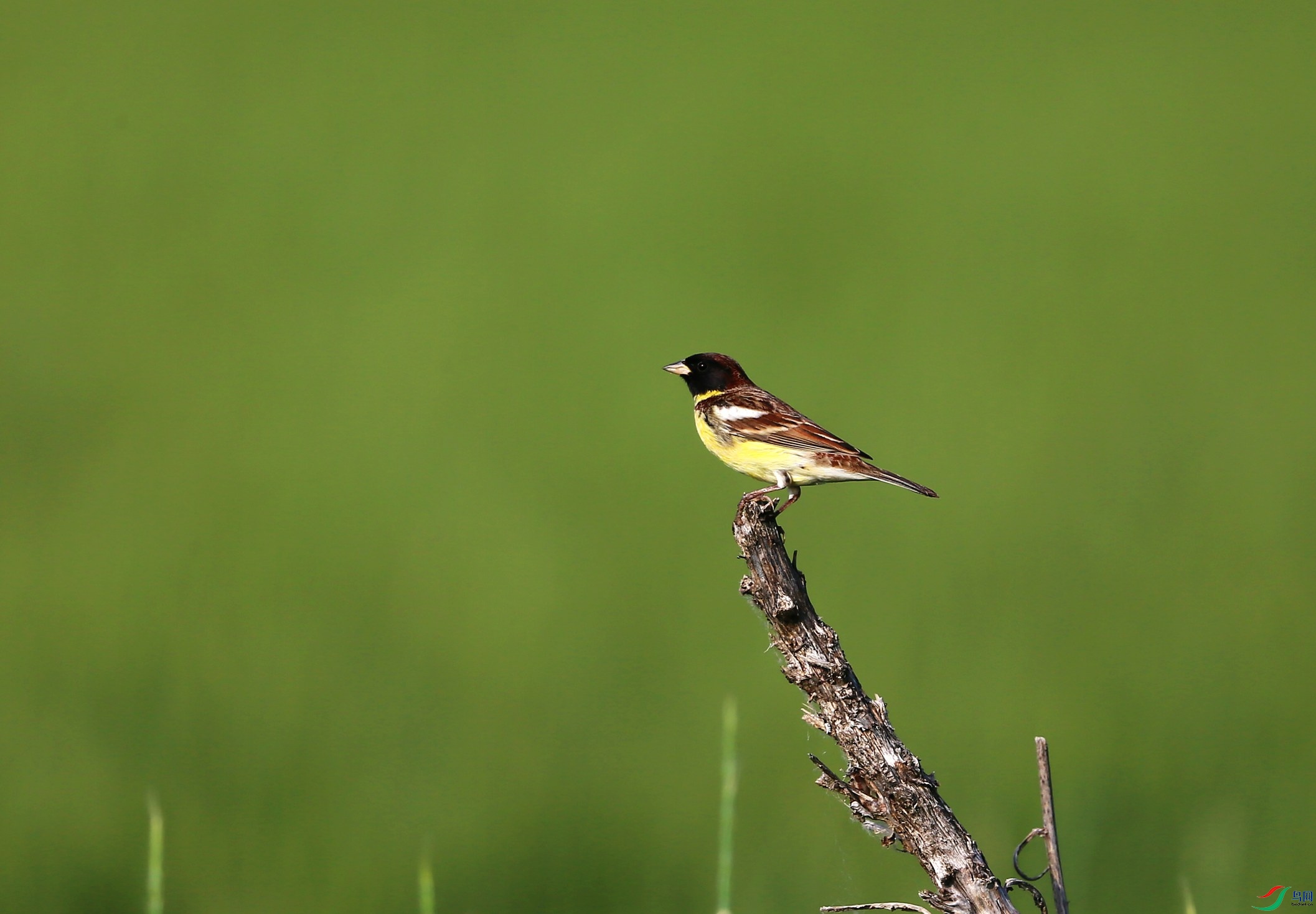 �ƺ��c (28).JPG