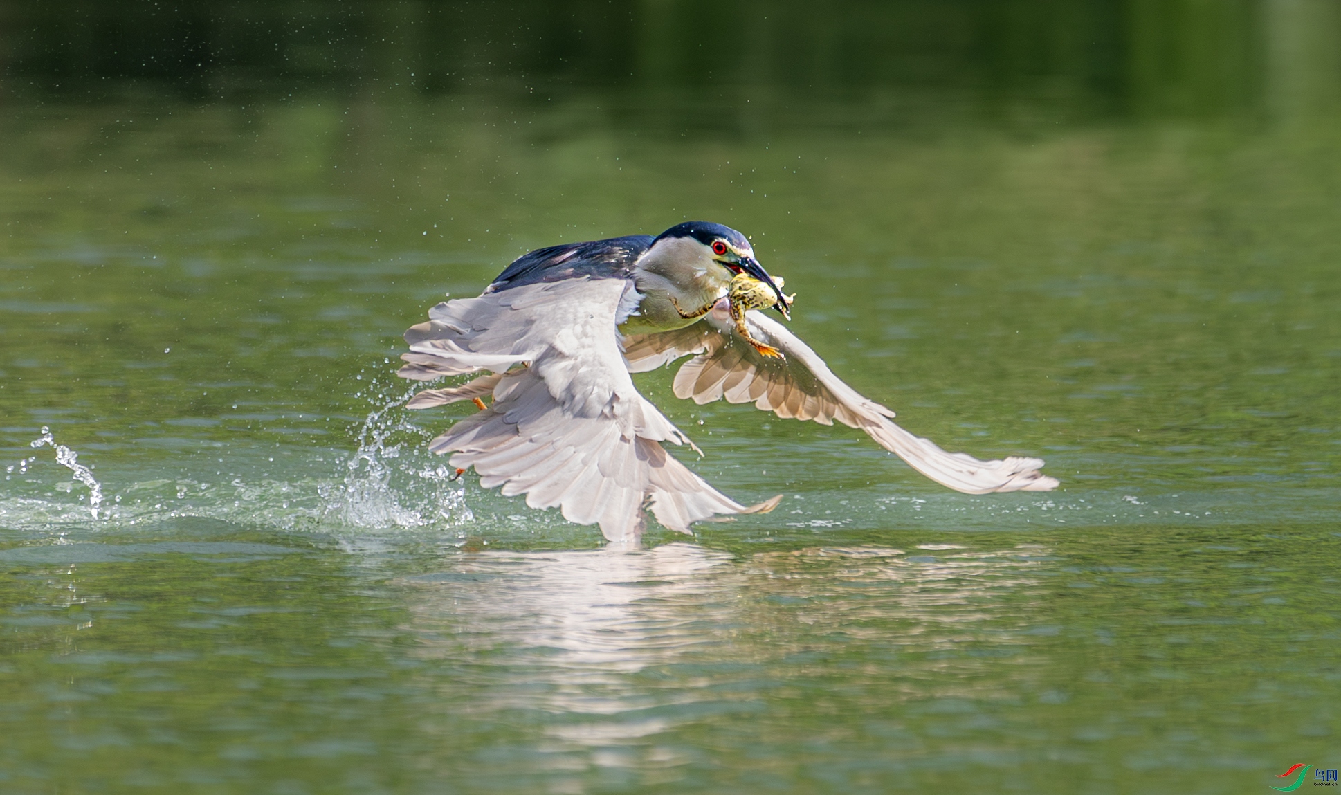 063A9475 ����.jpg