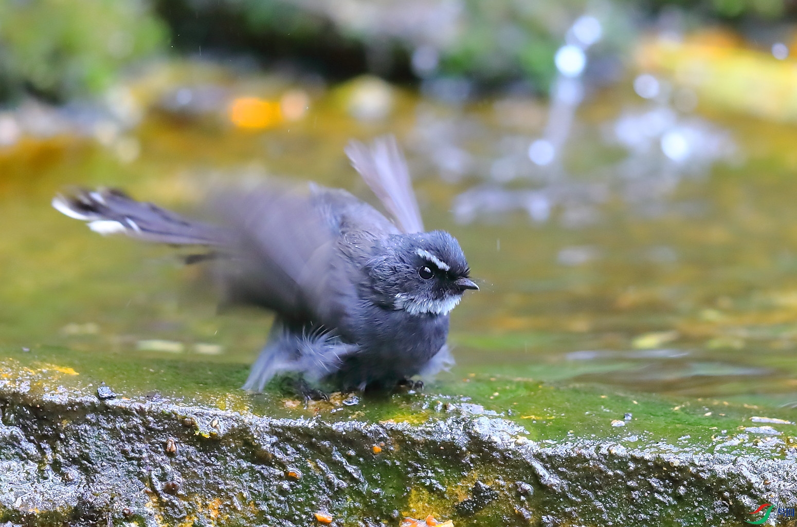 B12I7014 ����.JPG