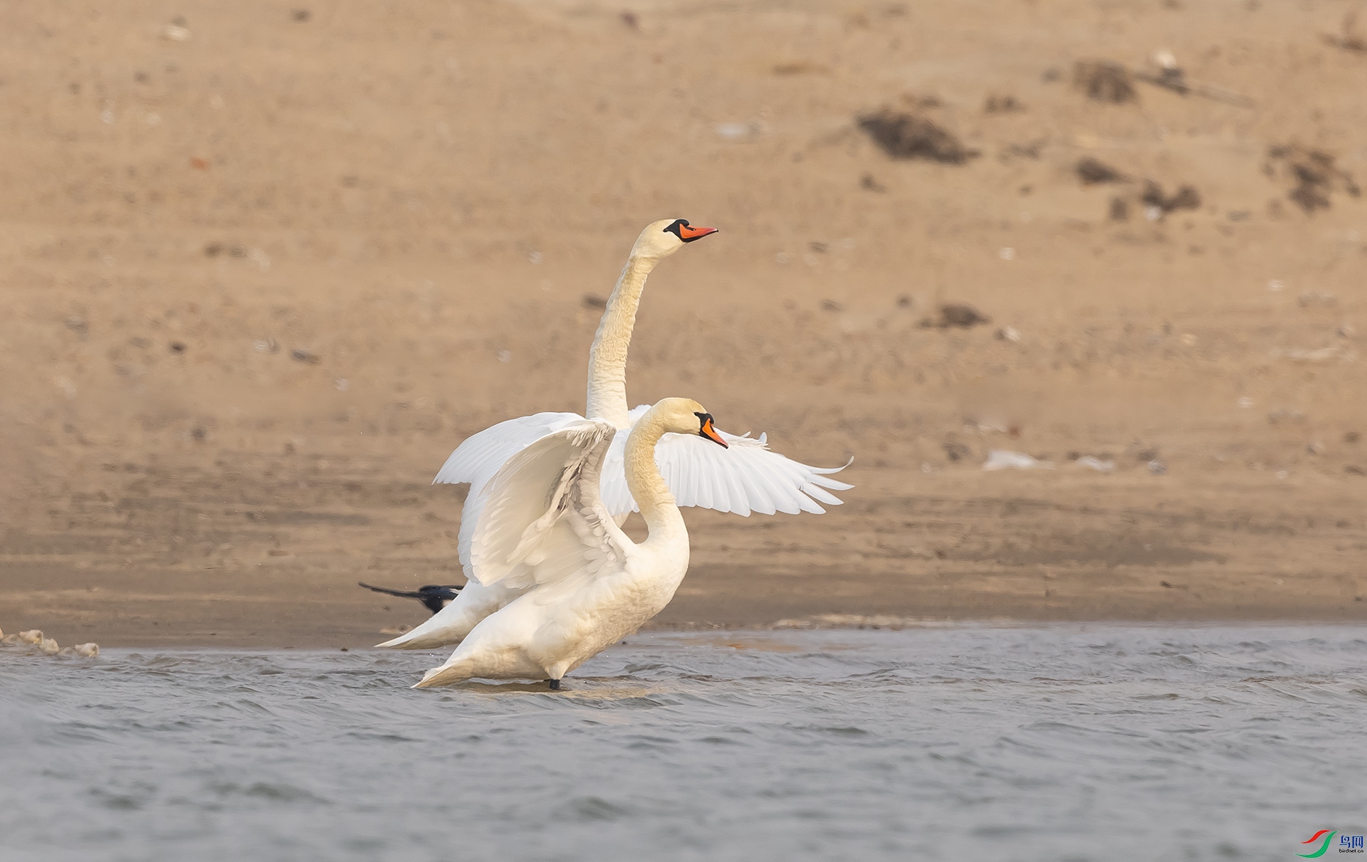 019A4161 ����2.jpg