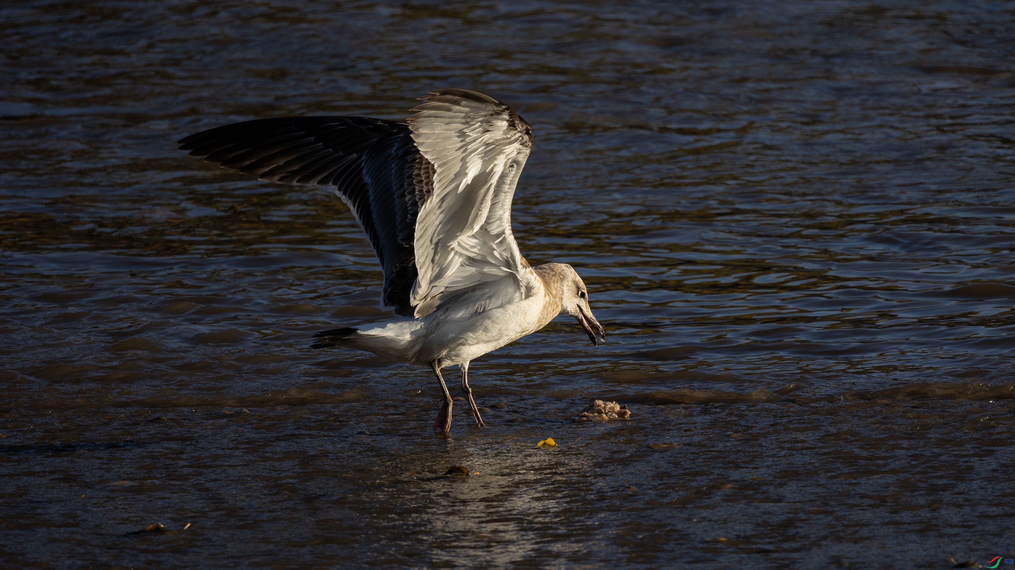 381A9873 ����.jpg