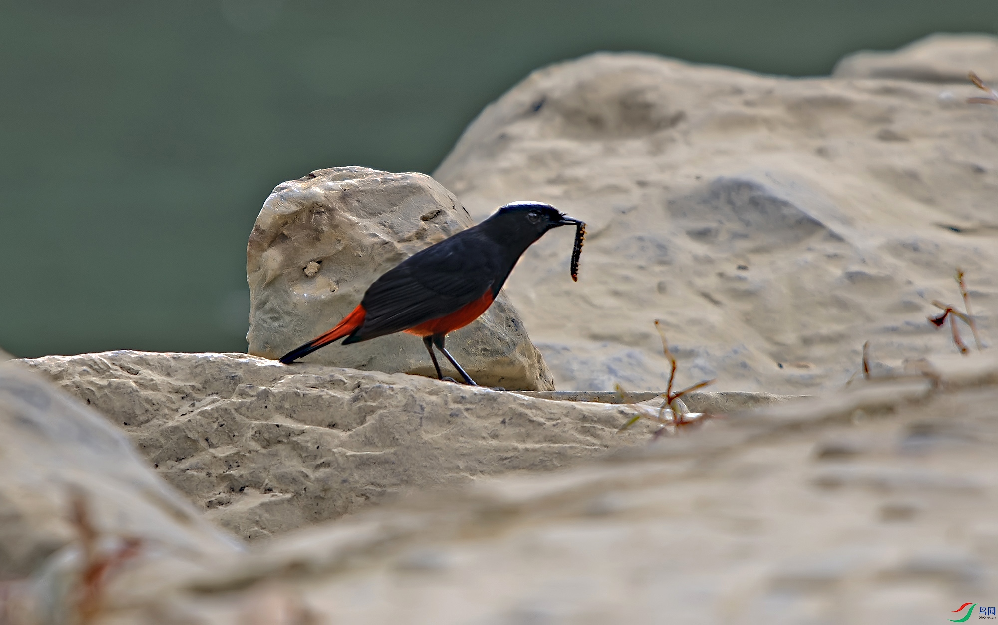 DSC_0164.jpg