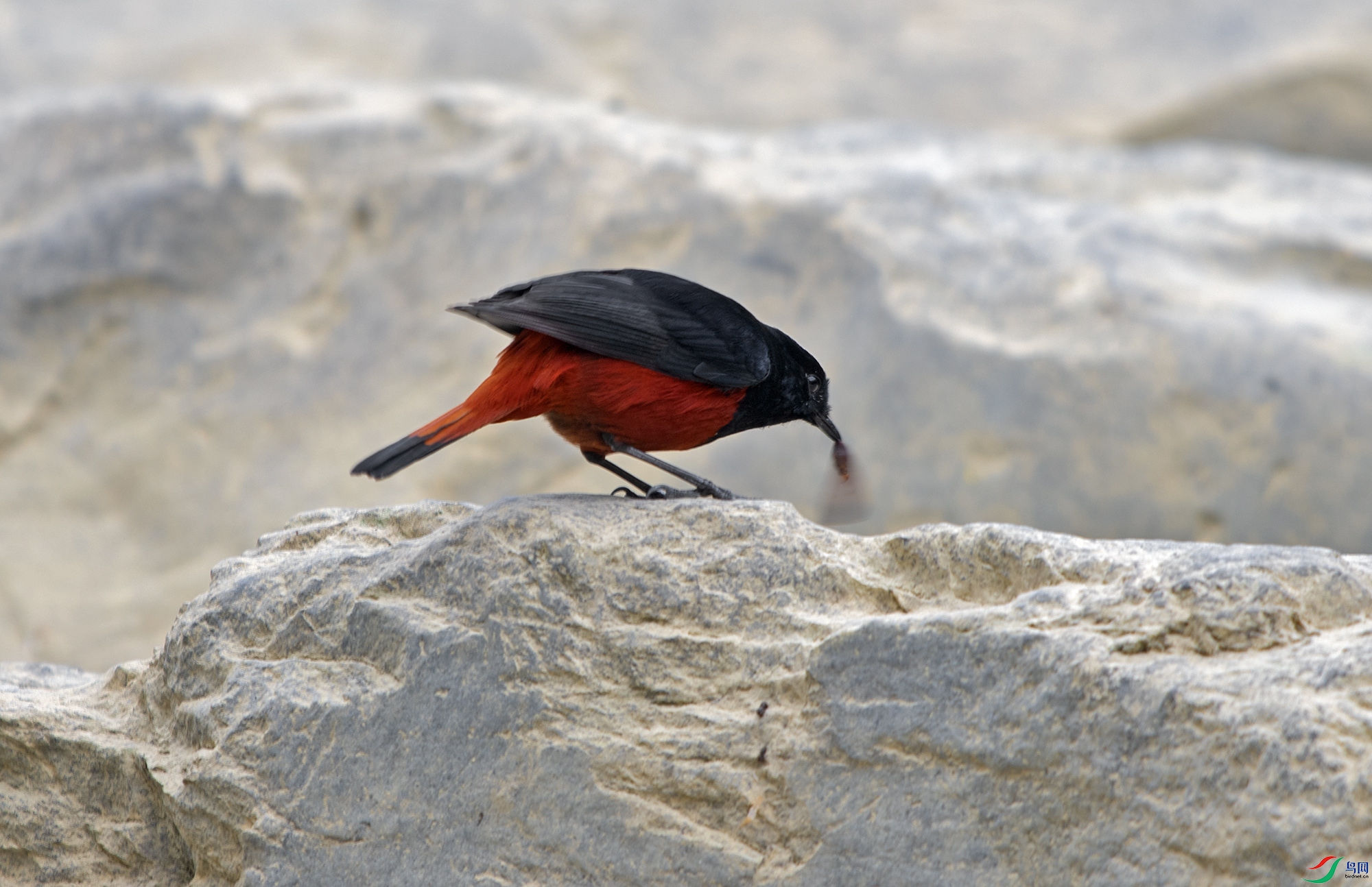 DSC_0074.jpg