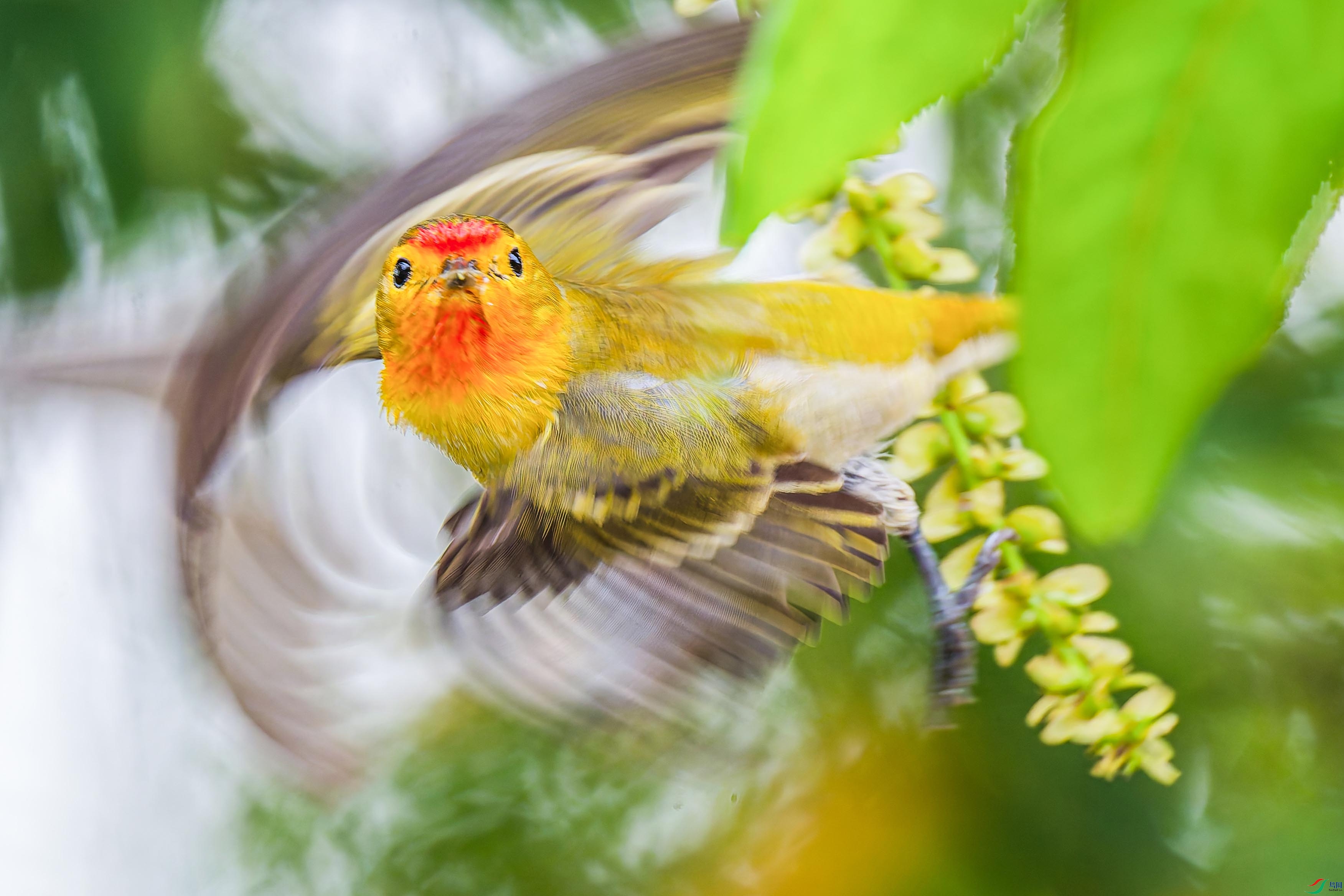 DSC_5201_DxO ����.jpg