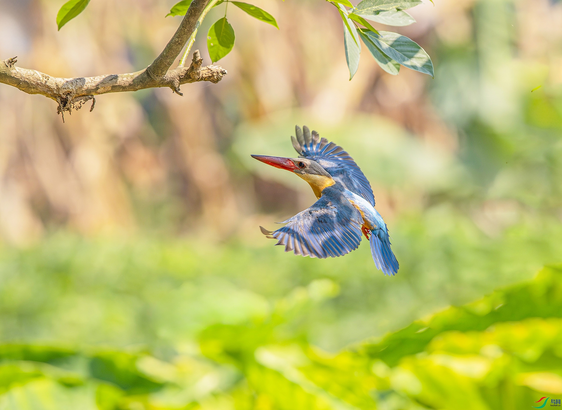 8891 ����.jpg