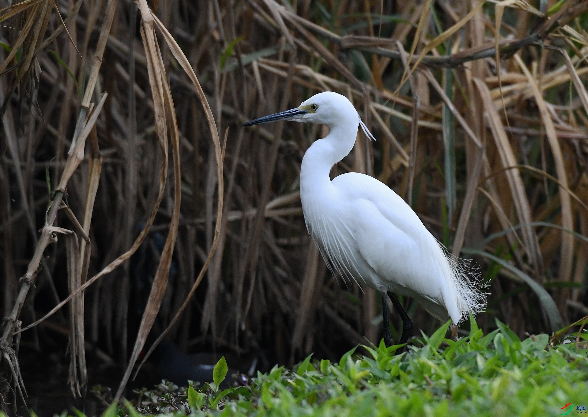 DSC_6999.jpg