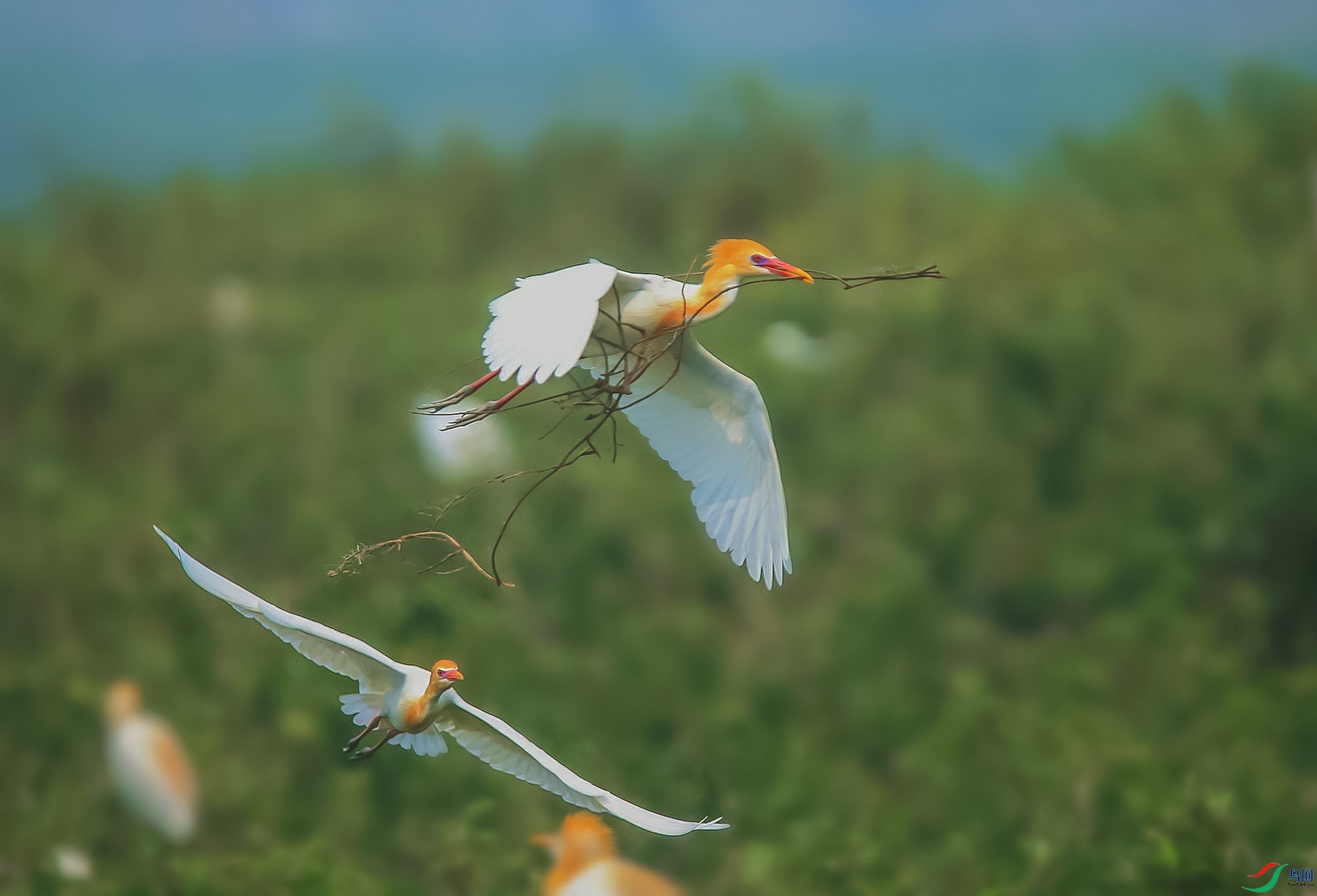 AM6Y1227_����_���� ����.jpg