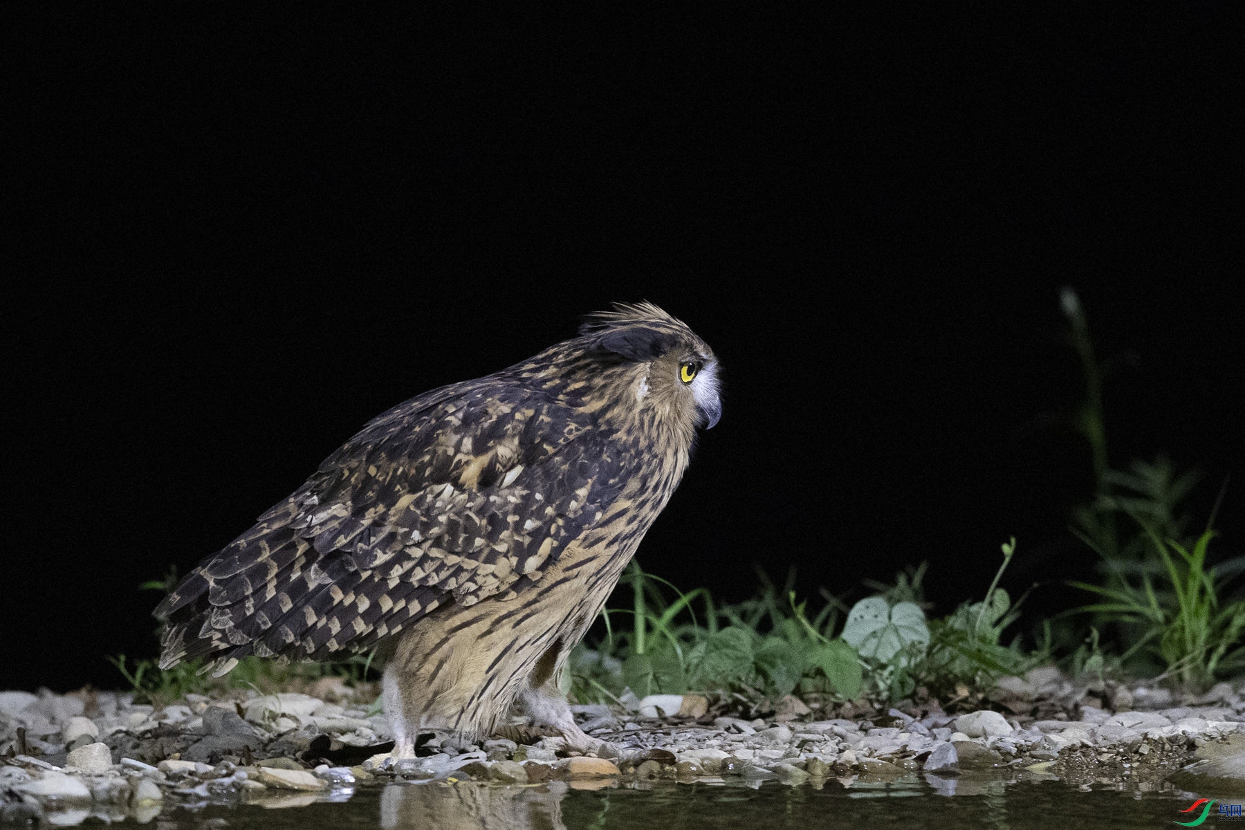 �������^