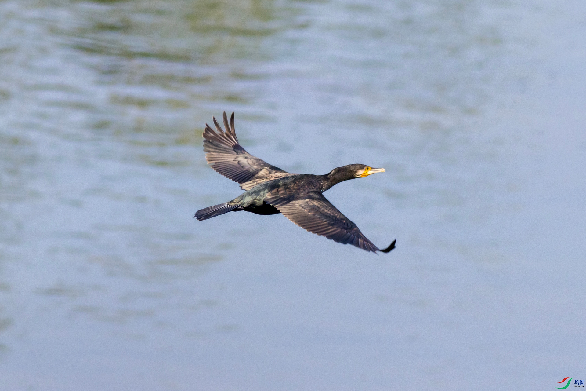 2H6A2093 ����_����.jpg