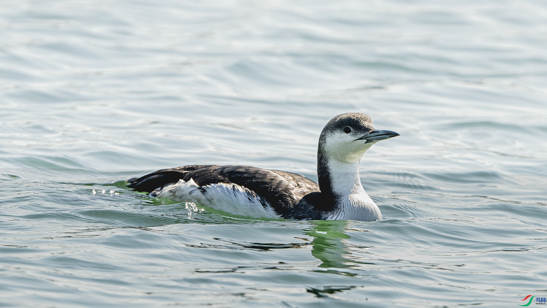 DSC_7657 ����.jpg