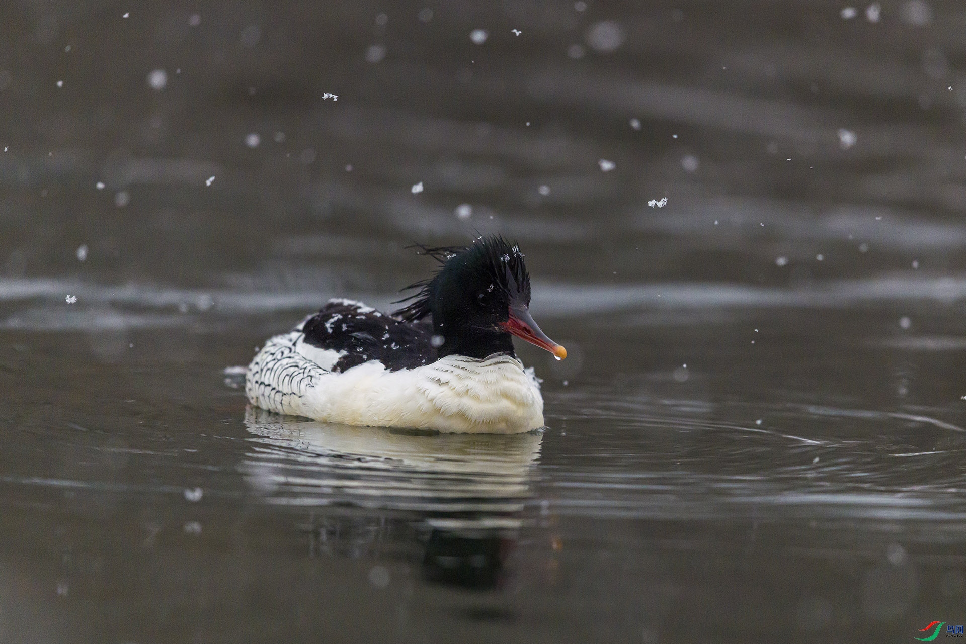 051A2215 ����n.jpg