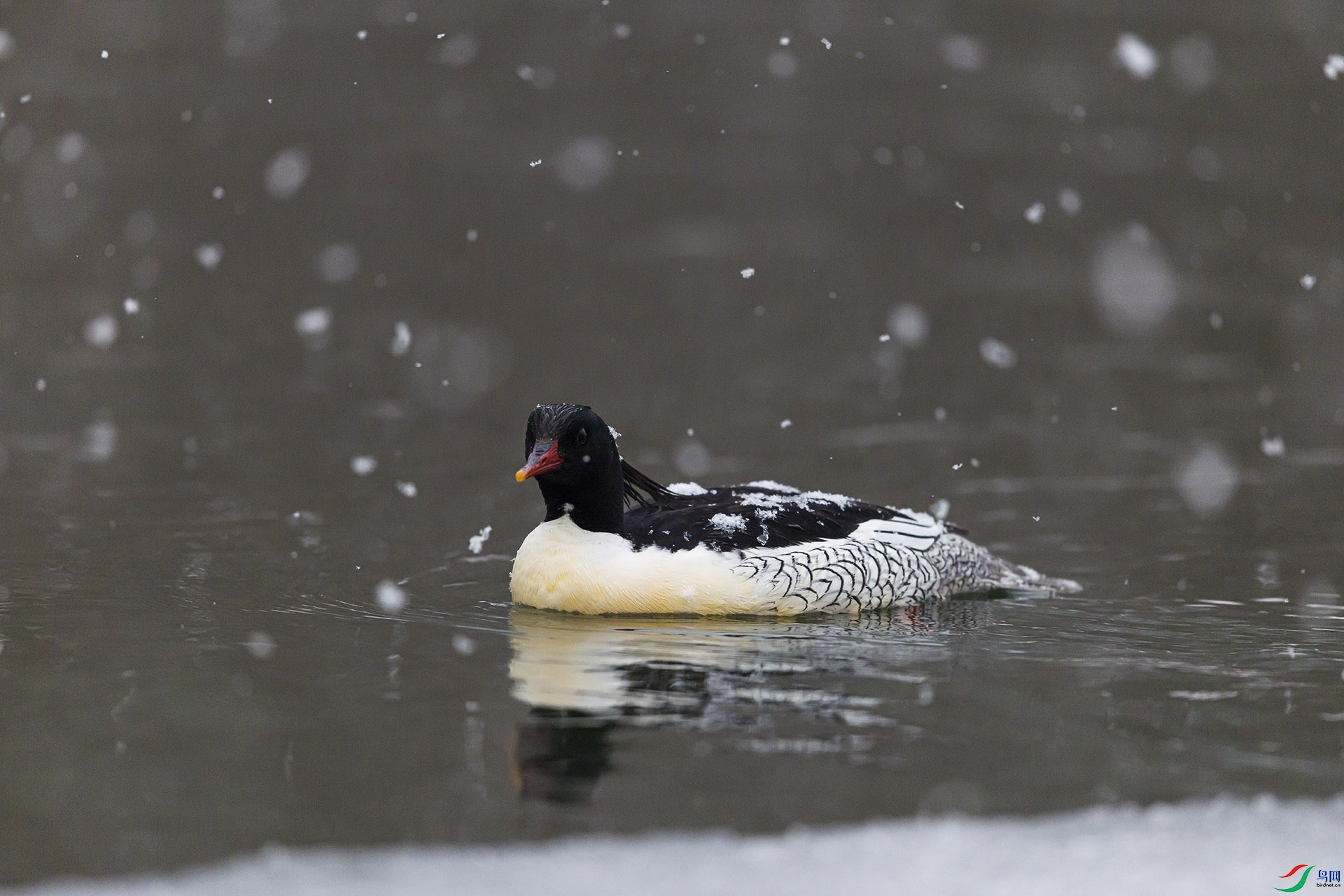 051A2569 ����n.jpg