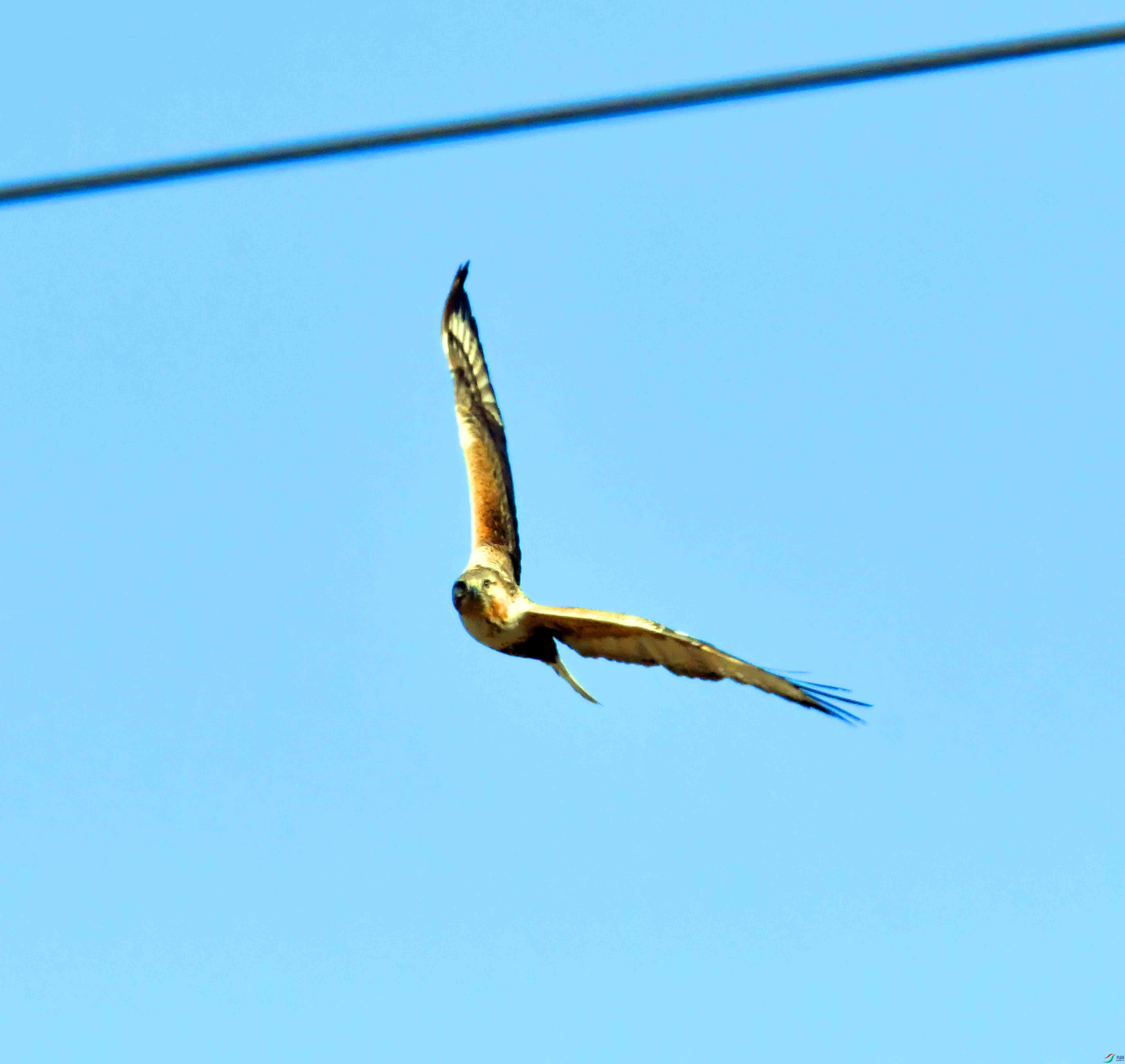 DSC_5030.JPG