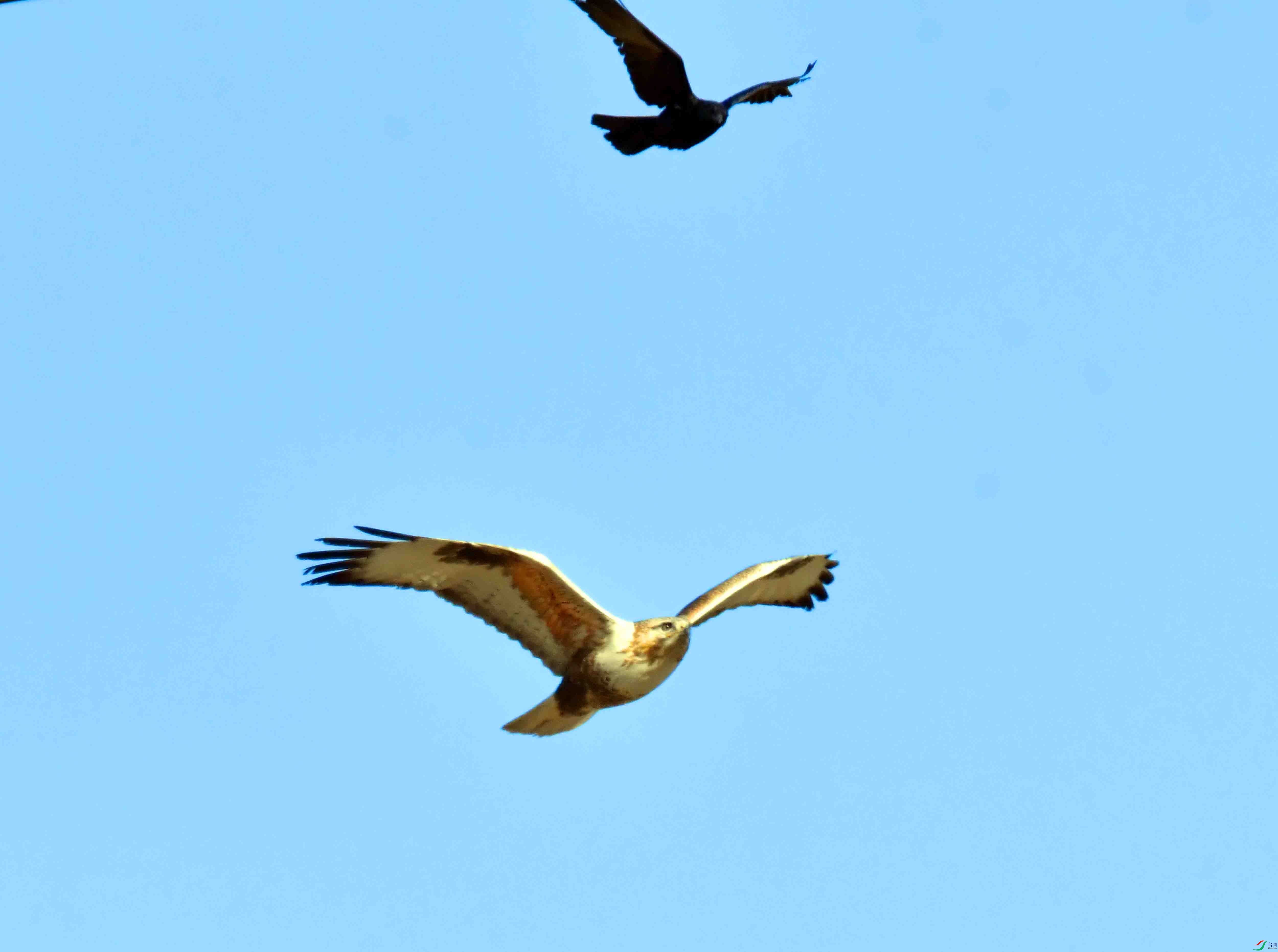 DSC_5037.JPG