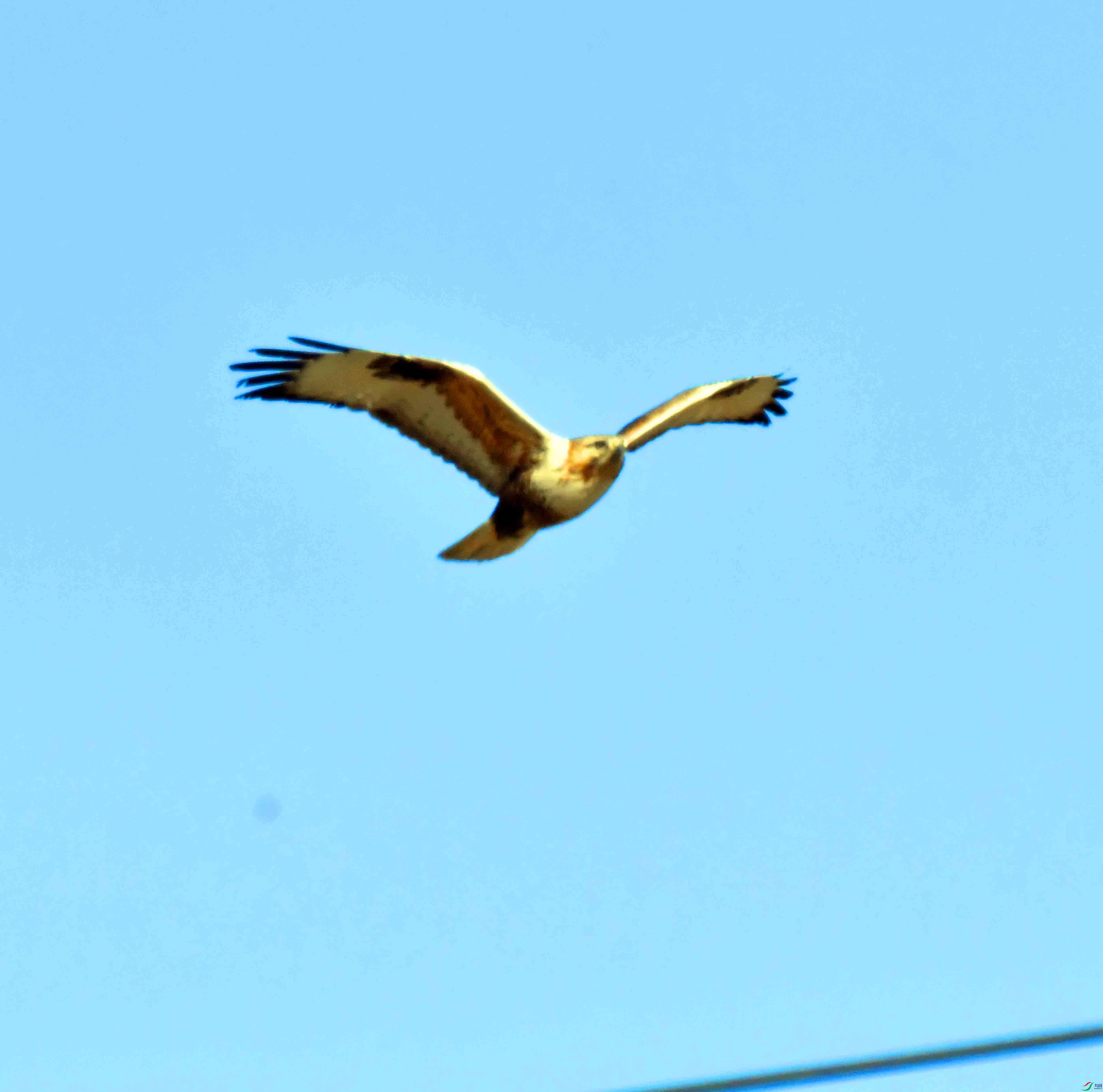 DSC_5036.JPG