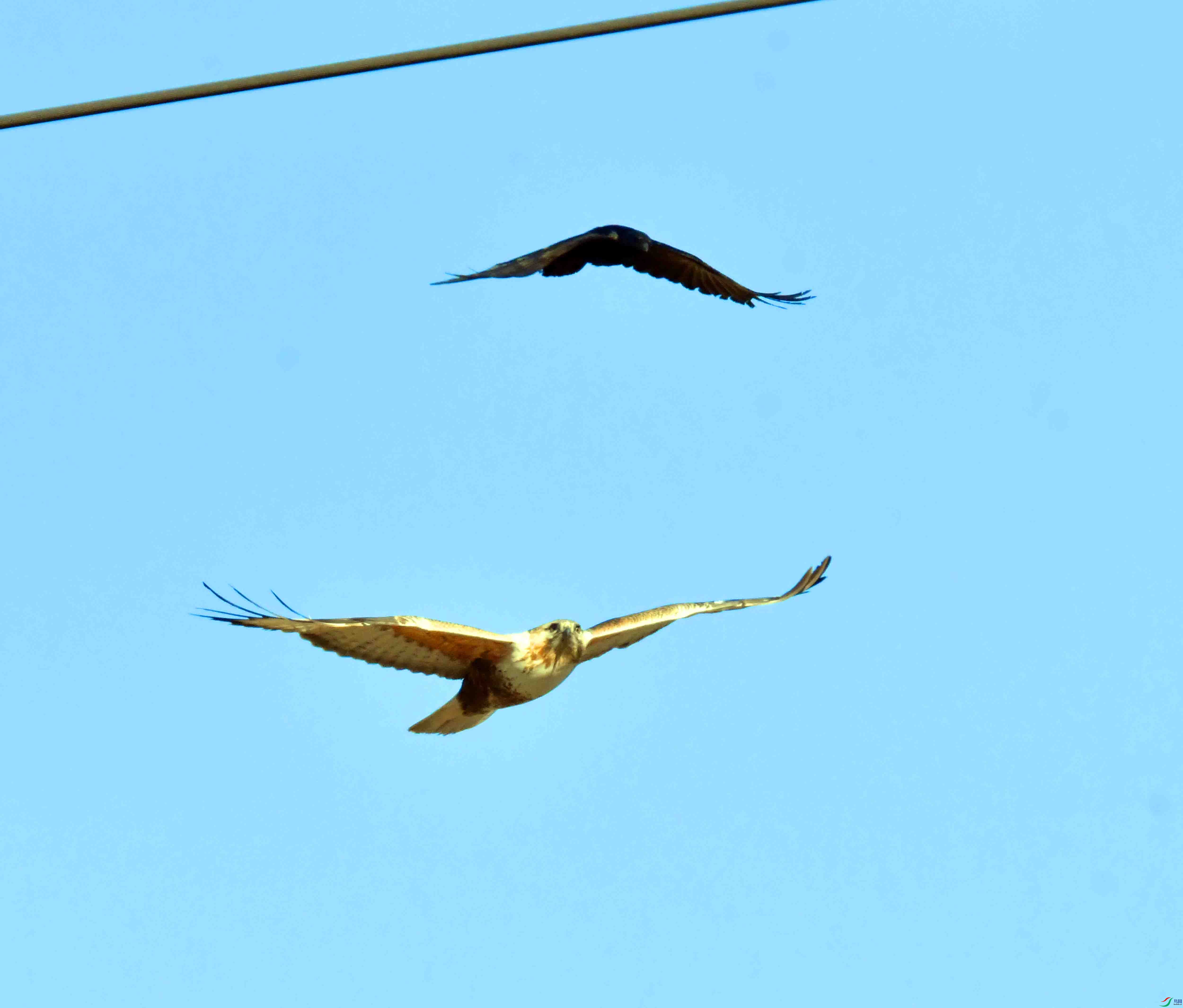 DSC_5038.JPG