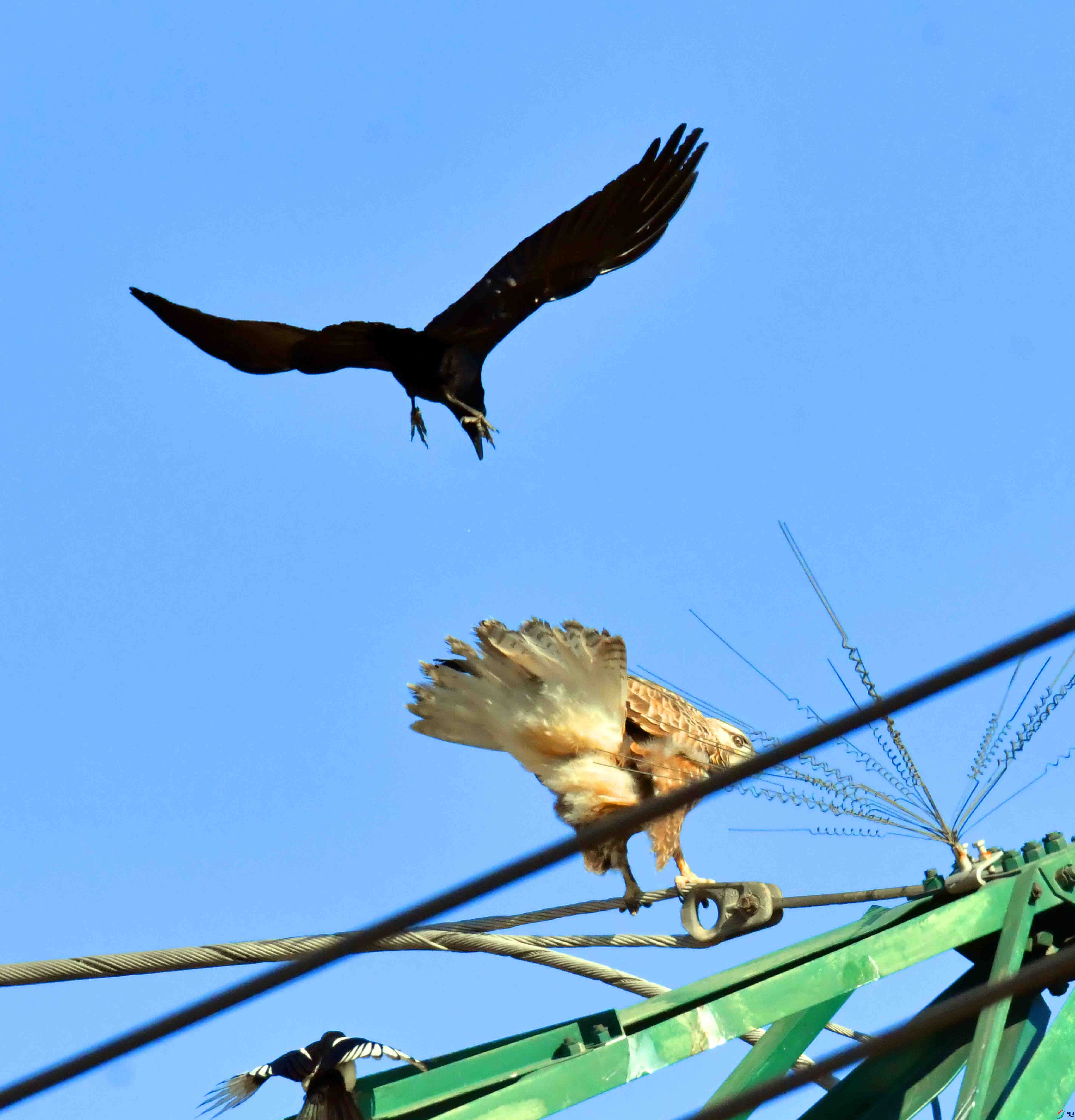 DSC_5126.JPG