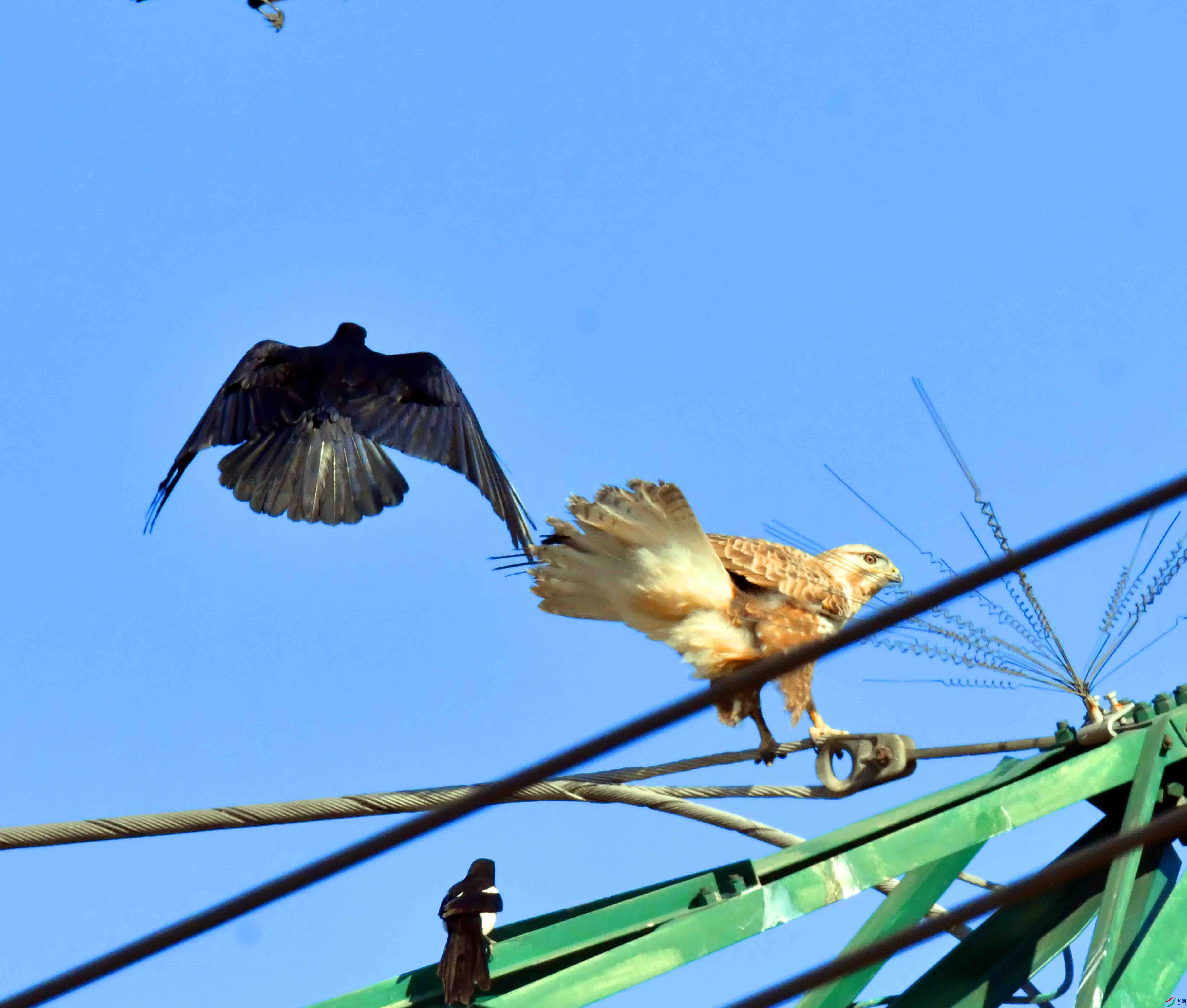 DSC_5127.JPG