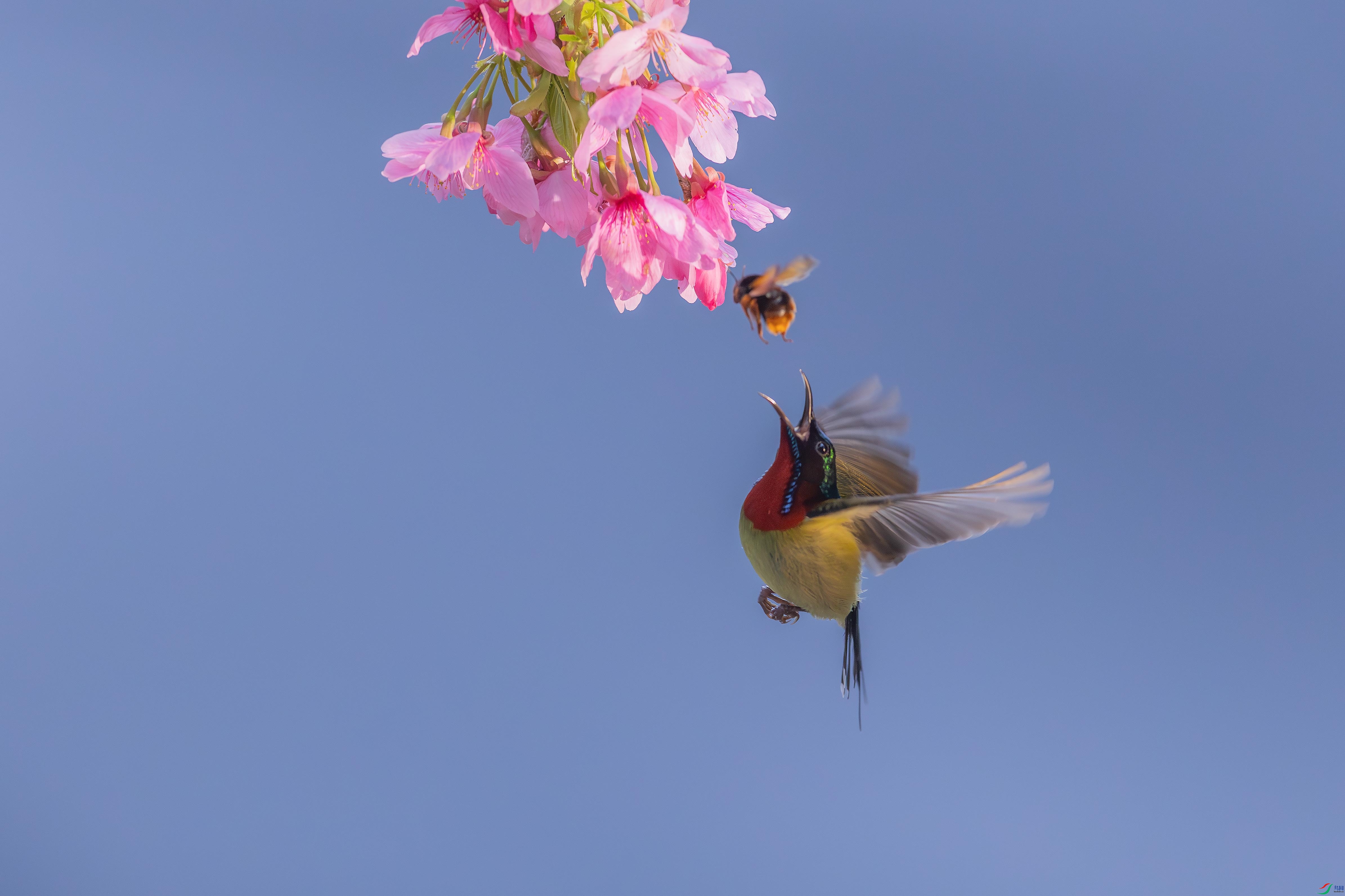 ��̫����-1 ����.jpg