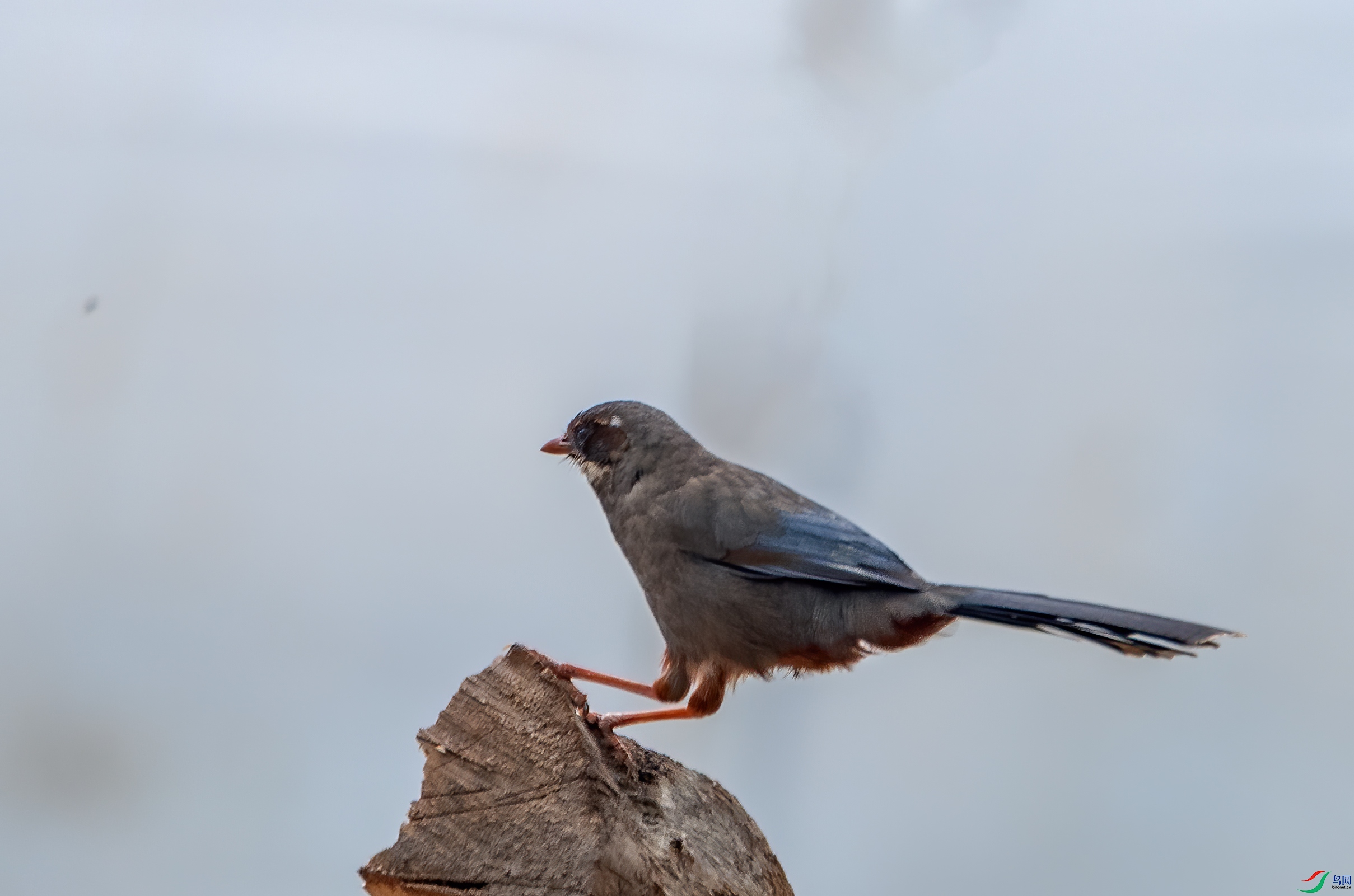 DSC_5867-1.jpg
